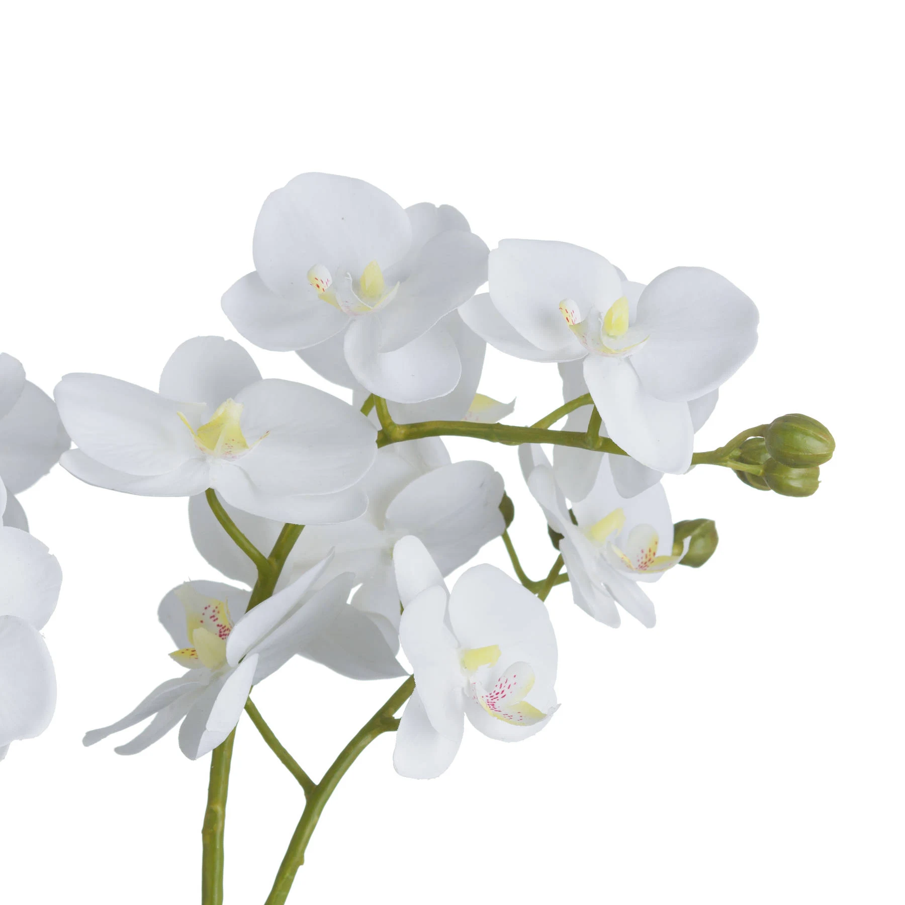 White Orchid In Glass Pot - Dining tables, photo 3 of 3