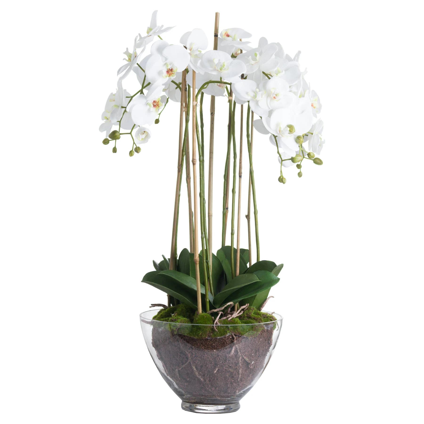 Large White Orchid In Glass Pot - Console tables, photo 2 of 3