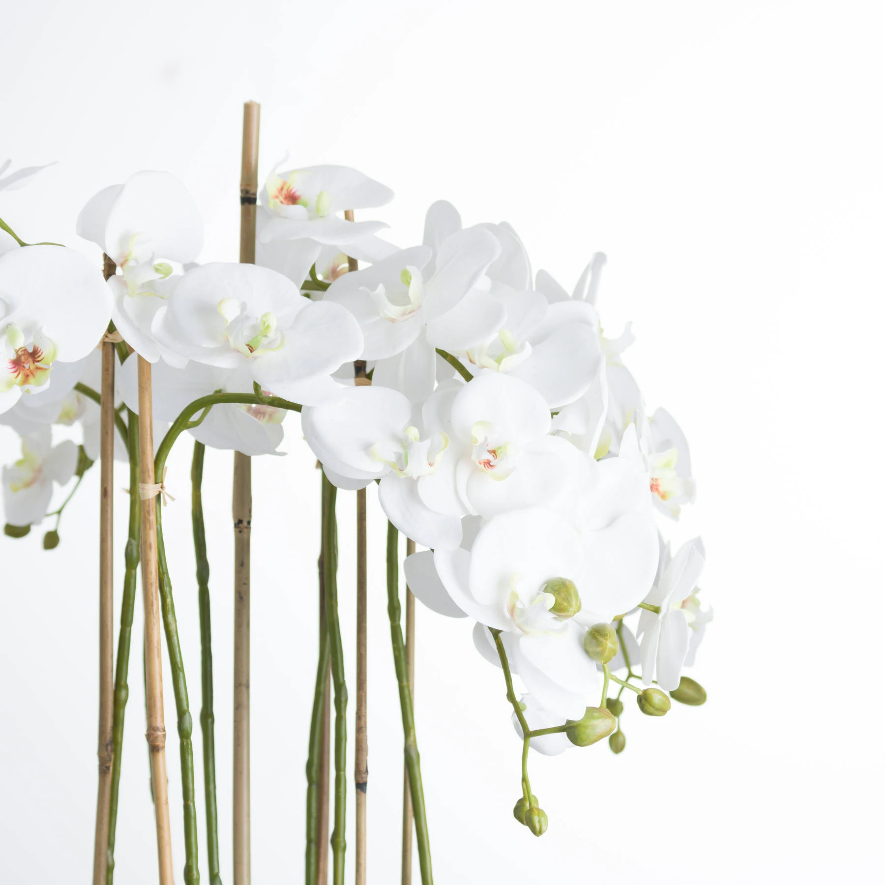 Large White Orchid In Glass Pot - Console tables, photo 3 of 3