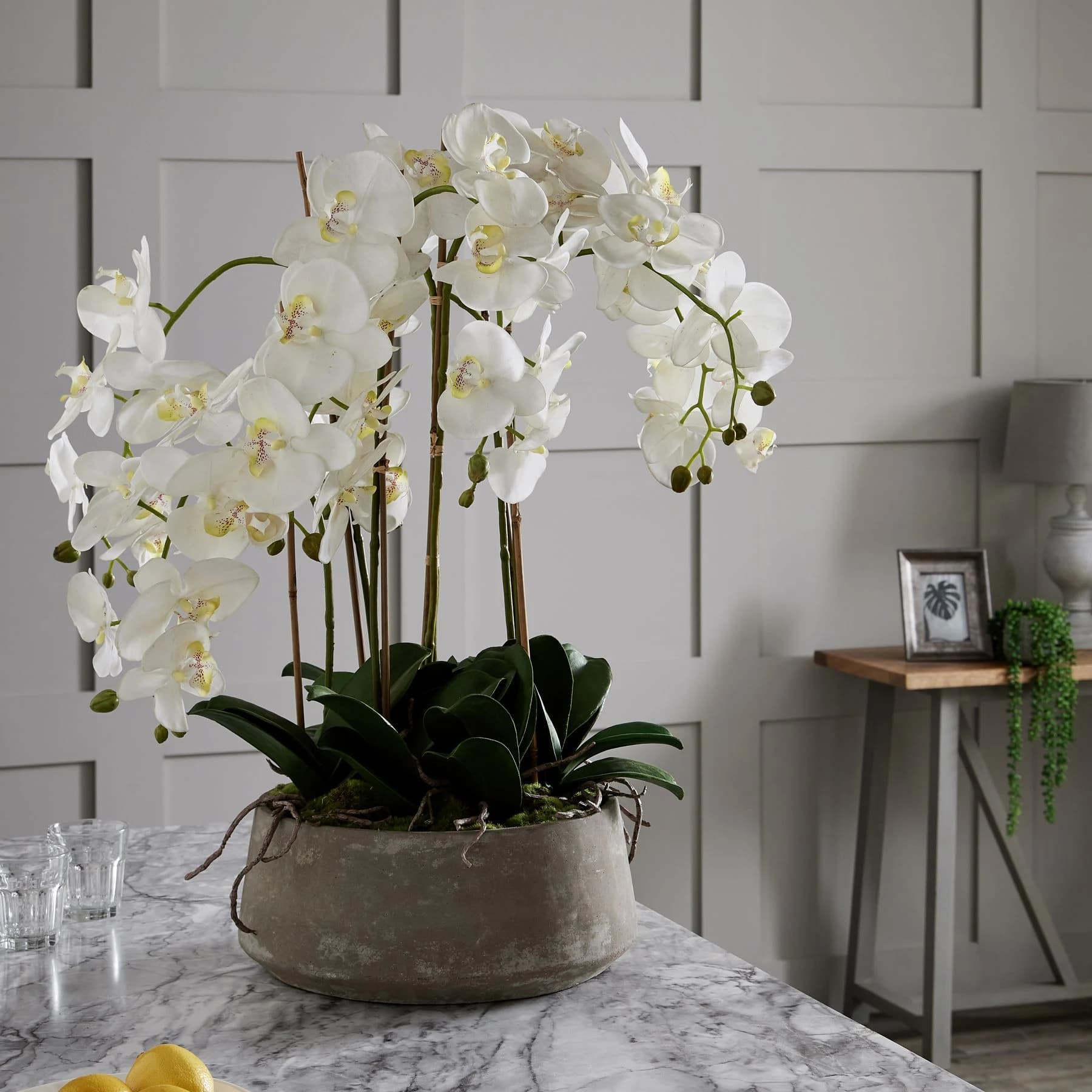 Large White Orchid In Stone Pot - Dining tables, photo 4 of 4