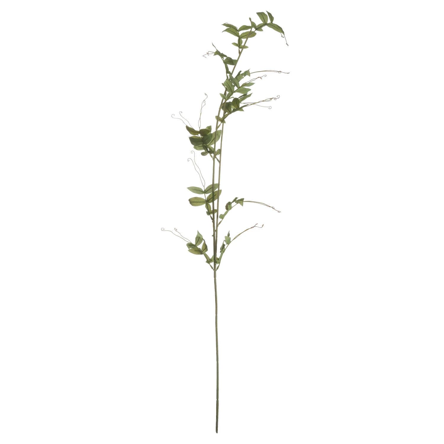 Sweet Pea Trail — Pack of 5 - Artificial plants & flowers, photo 5 of 5