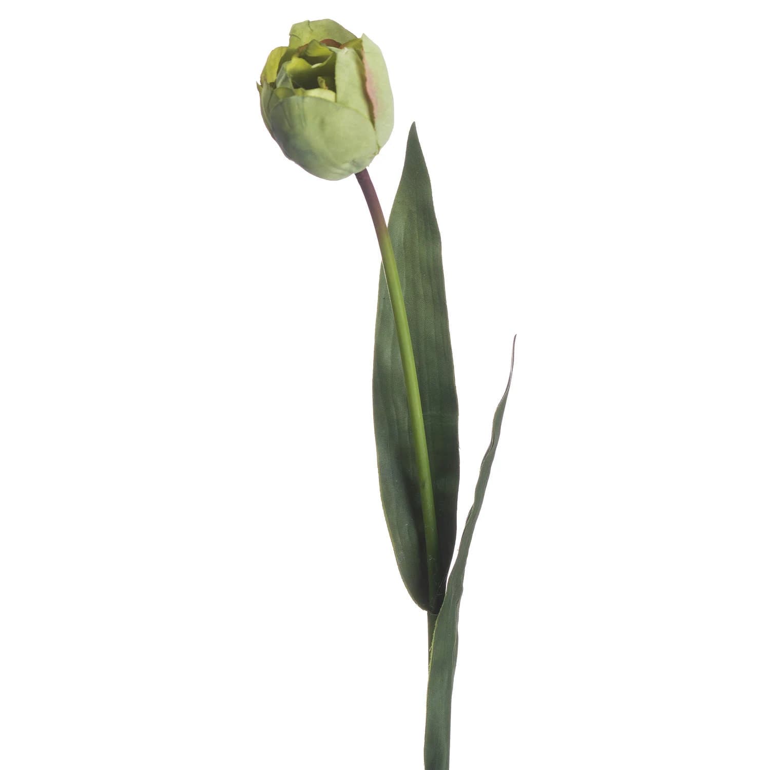 Green Tulip — Pack of 5 - Artificial plants & flowers, photo 3 of 4