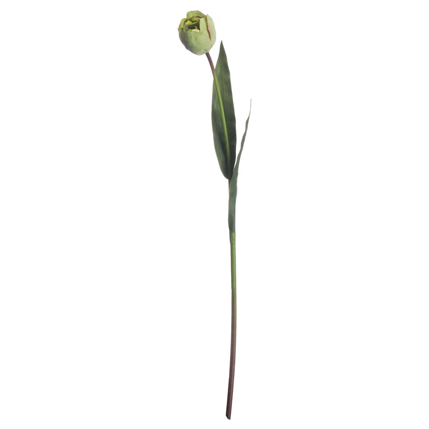 Green Tulip — Pack of 5 - Artificial plants & flowers, photo 4 of 4