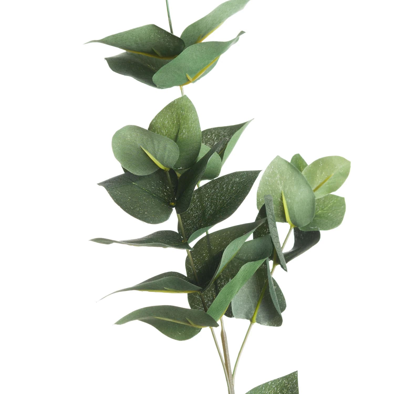 Eucalyptus Filler — Pack of 5 - Artificial plants & flowers, photo 2 of 4
