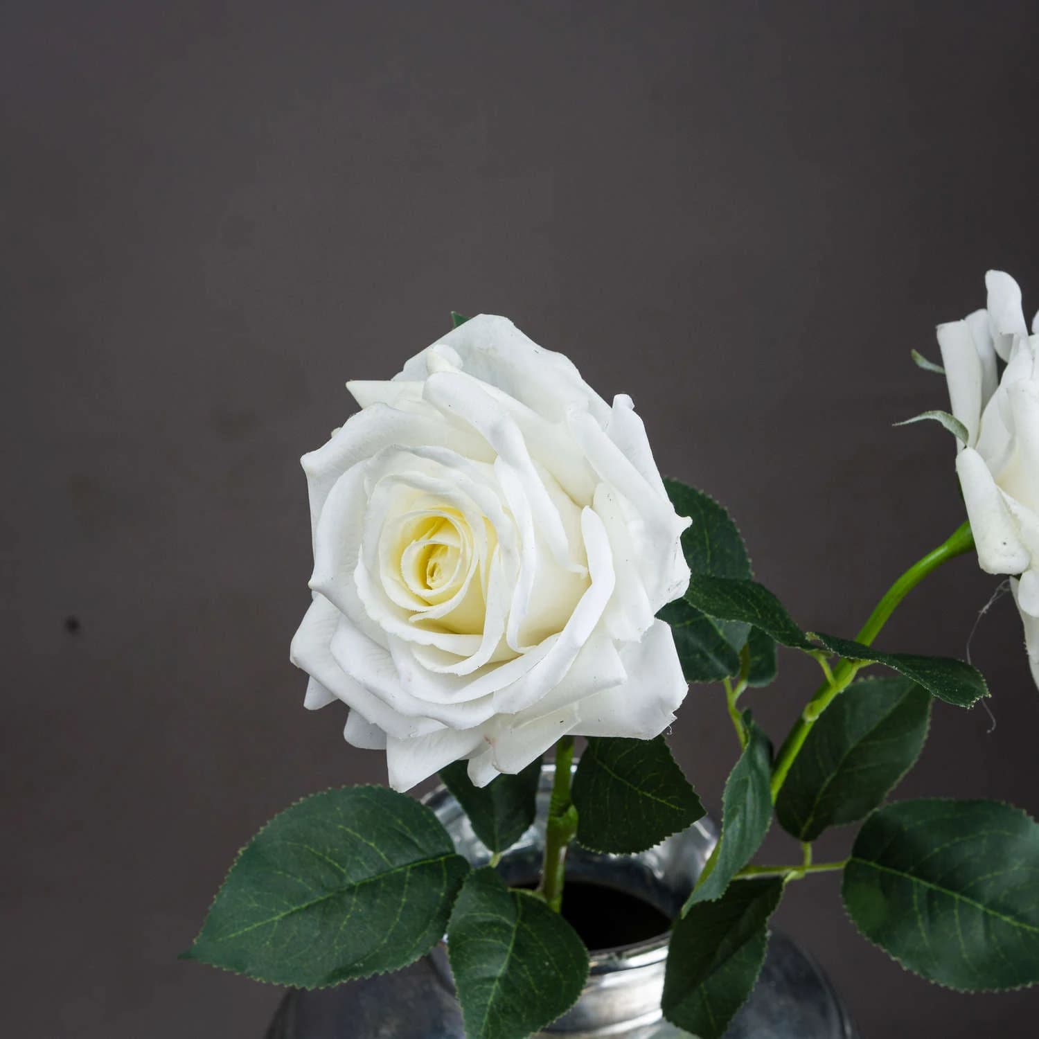 Large White Garden Rose — Pack of 5 - Artificial plants & flowers, photo 2 of 4