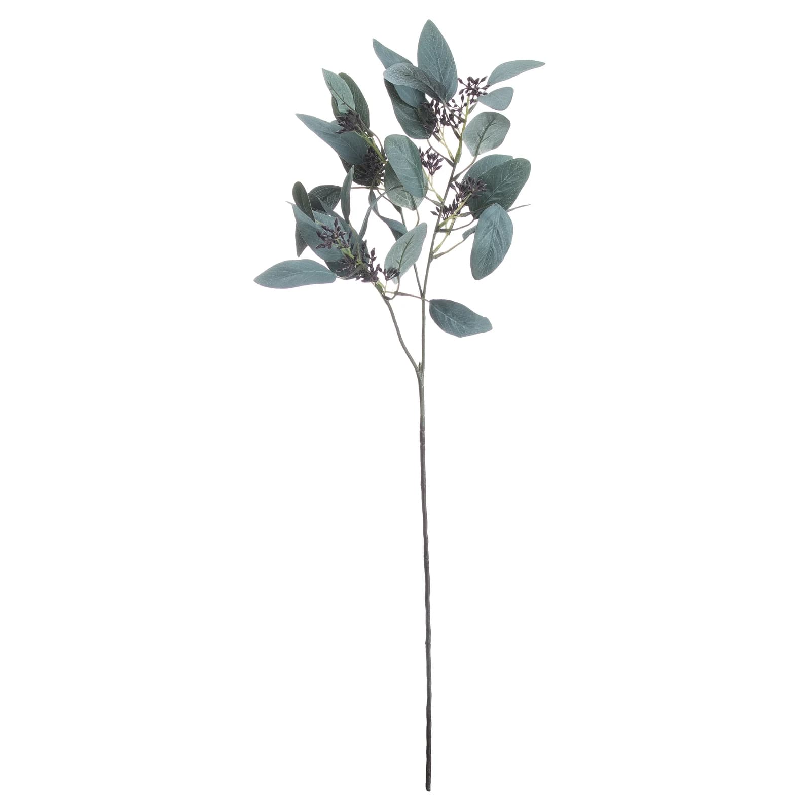 Seeded Eucalyptus Stem — Pack of 5 - Artificial plants & flowers, photo 3 of 4