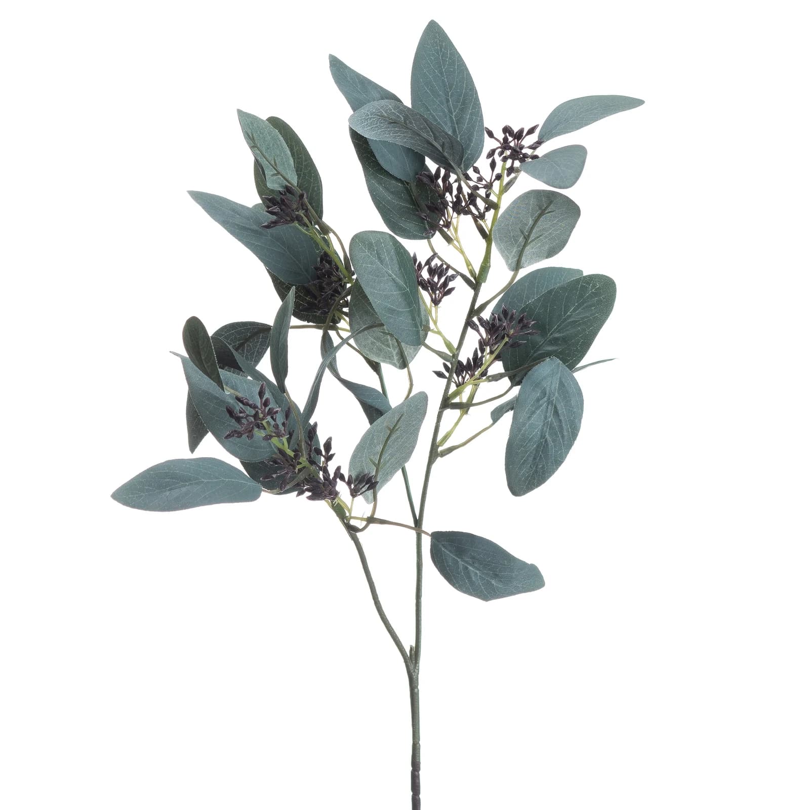 Seeded Eucalyptus Stem — Pack of 5 - Artificial plants & flowers, photo 4 of 4