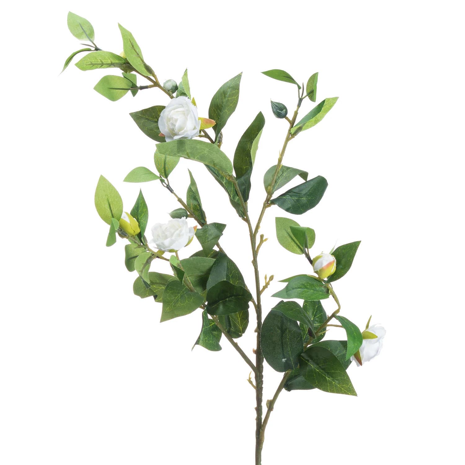 Cream Gardenia Stem — Pack of 5 - Artificial plants & flowers, photo 3 of 5