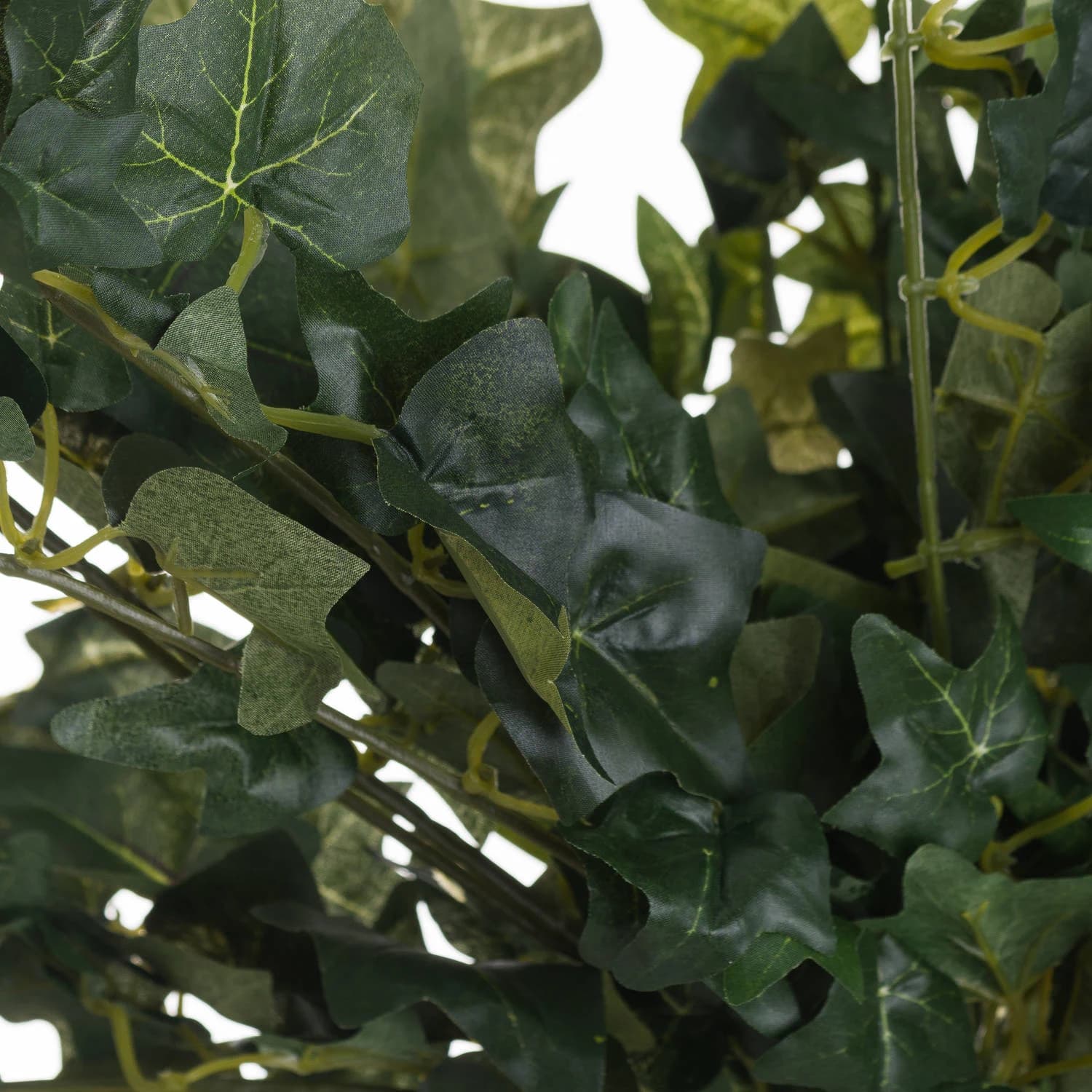 Ivy Pick — Pack of 3 - Artificial plants & flowers, photo 2 of 2