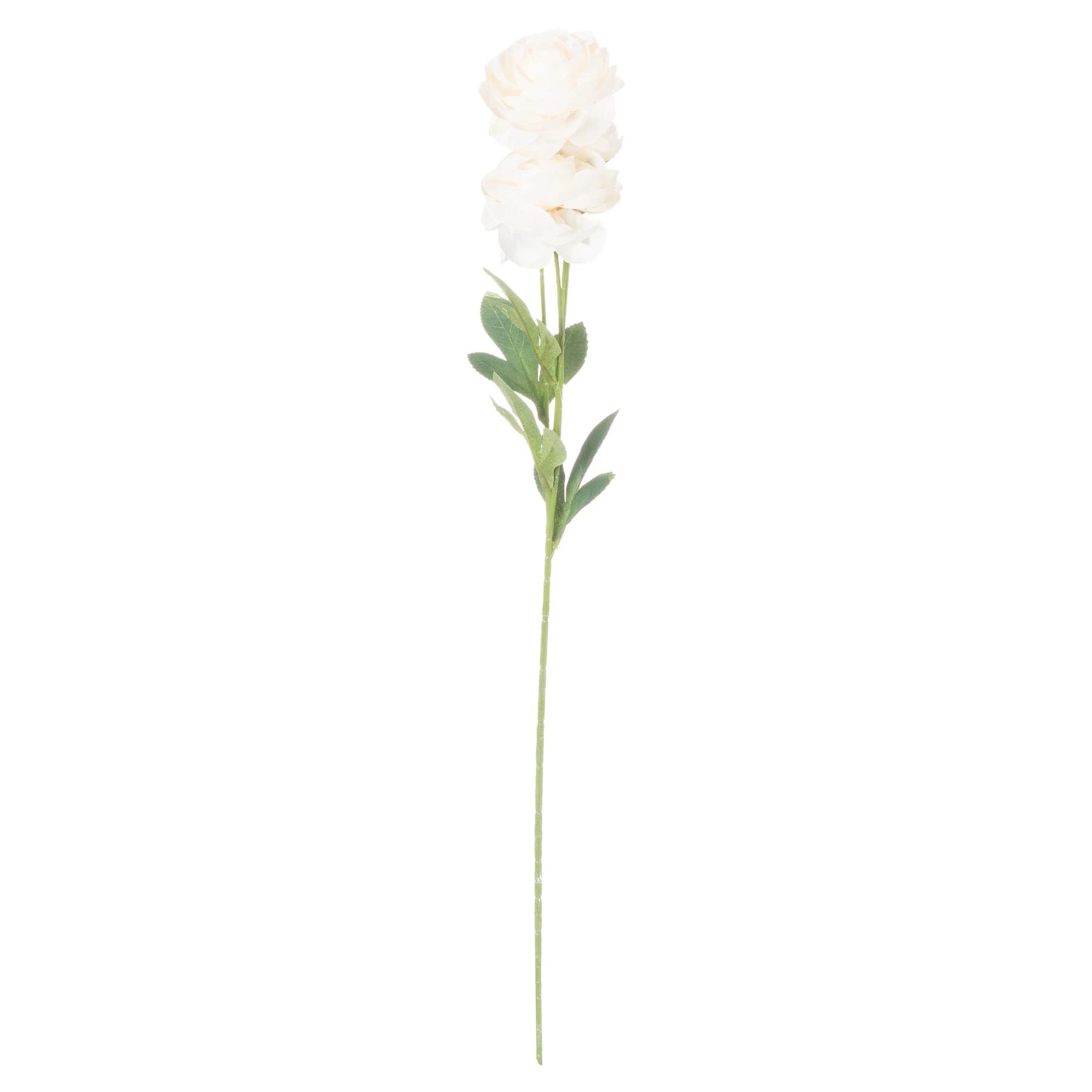 Cream Ranunculus — Pack of 5 - Artificial plants & flowers, photo 3 of 3