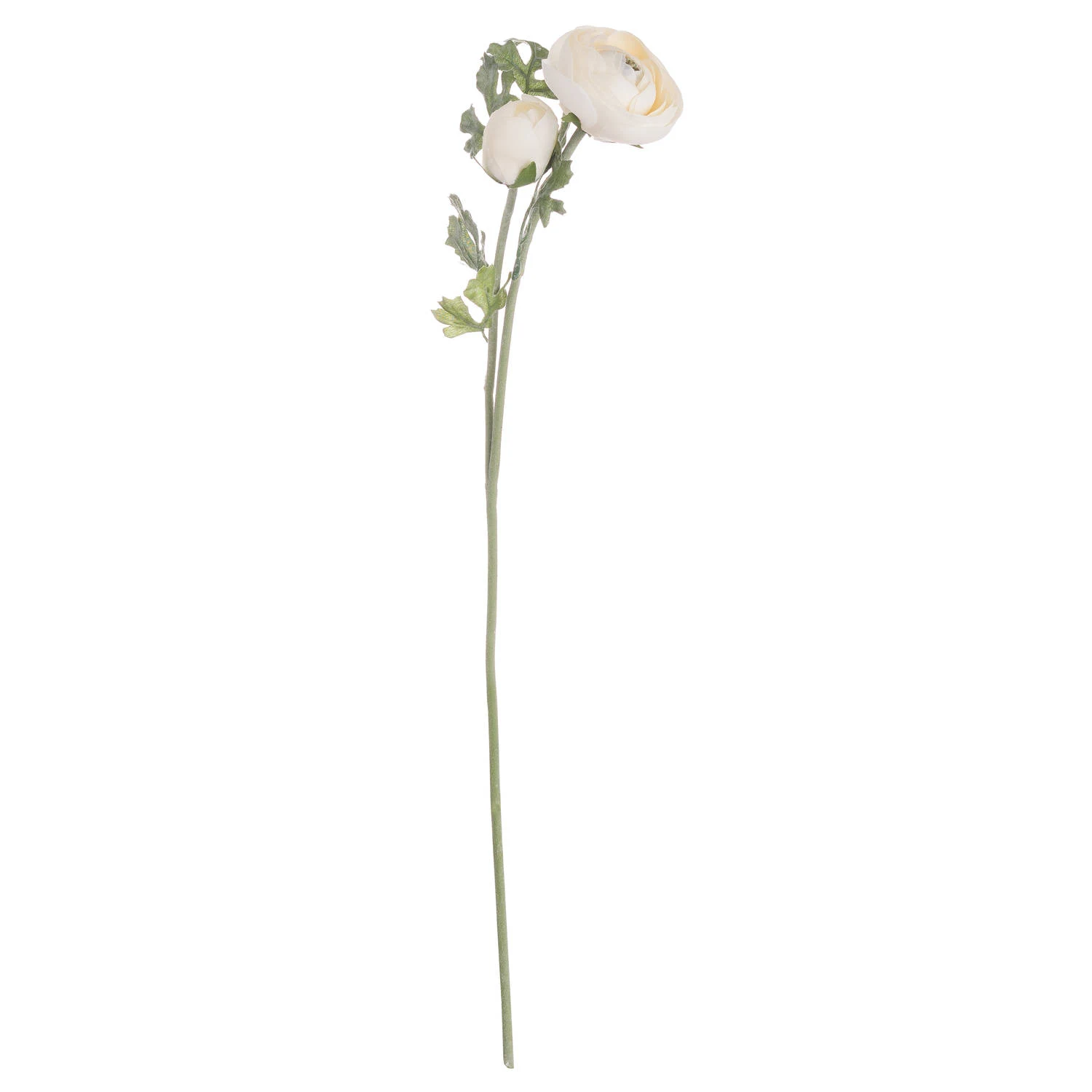Soft Cream Ranunculus — Pack of 5 - Artificial plants & flowers, photo 3 of 3