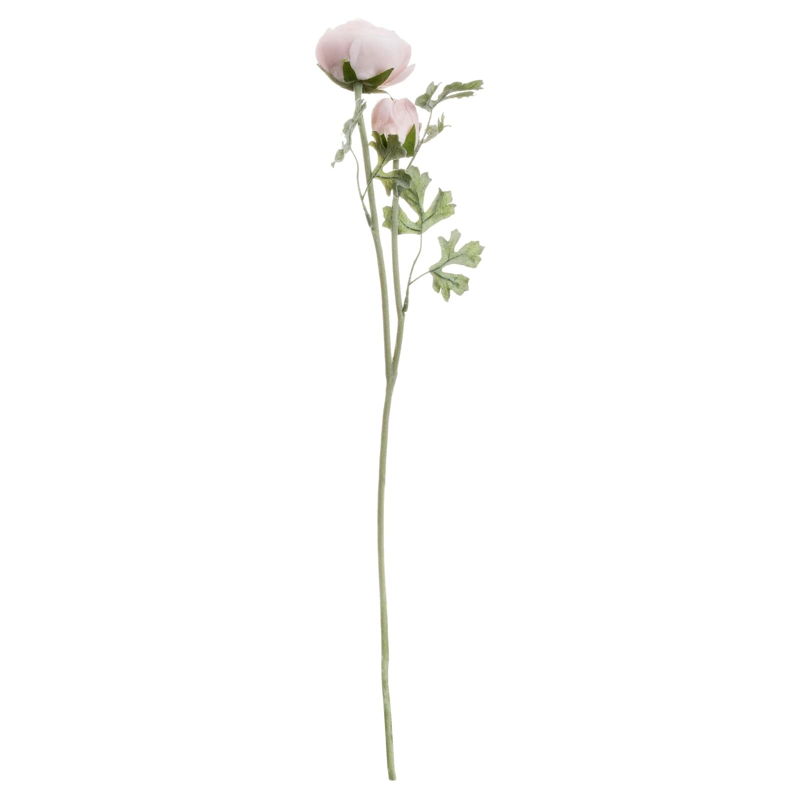 Pastel Pink Ranunculus — Pack of 5 - Artificial plants & flowers, photo 4 of 5