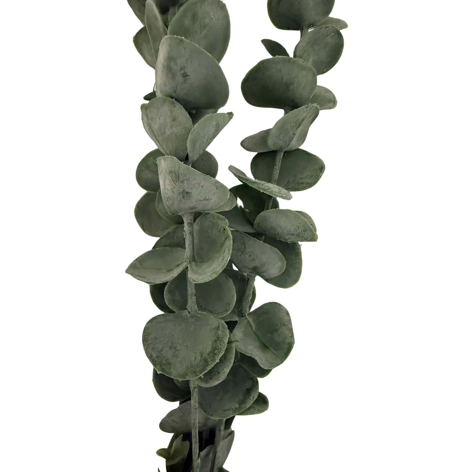 Silver Dollar Eucalyptus — Pack of 5 - Artificial plants & flowers, photo 2 of 2