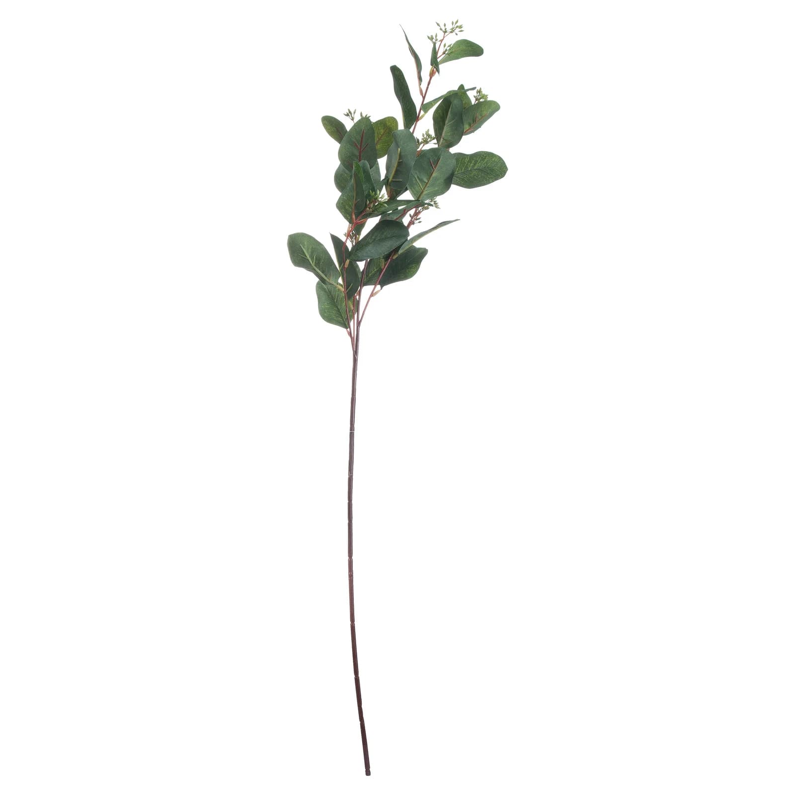 Summer Seeded Eucalyptus — Pack of 5 - Artificial plants & flowers, photo 2 of 4