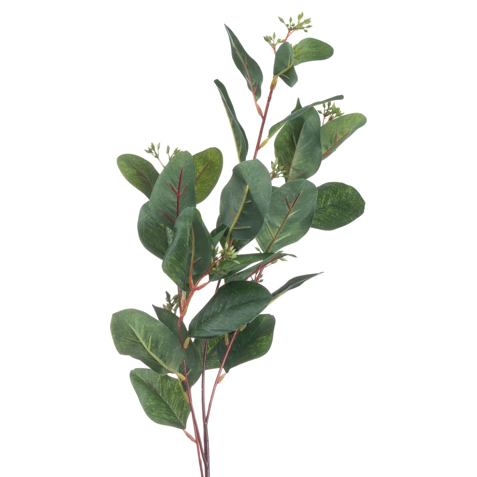 Summer Seeded Eucalyptus — Pack of 5 - Artificial plants & flowers, photo 3 of 4