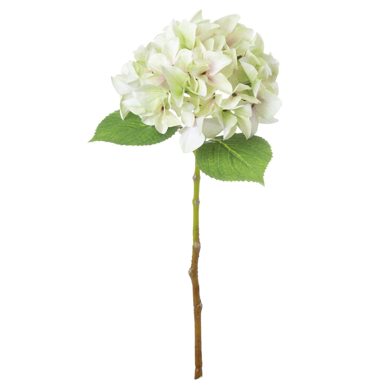 Shabby Green Single Hydrangea — Pack of 5 - Artificial plants & flowers, photo 2 of 4