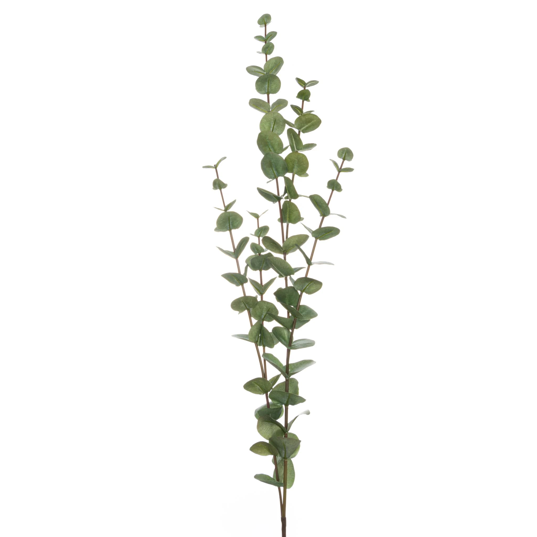 Large Cineraria Eucalyptus Spray — Pack of 3 - Artificial plants & flowers, photo 2 of 4