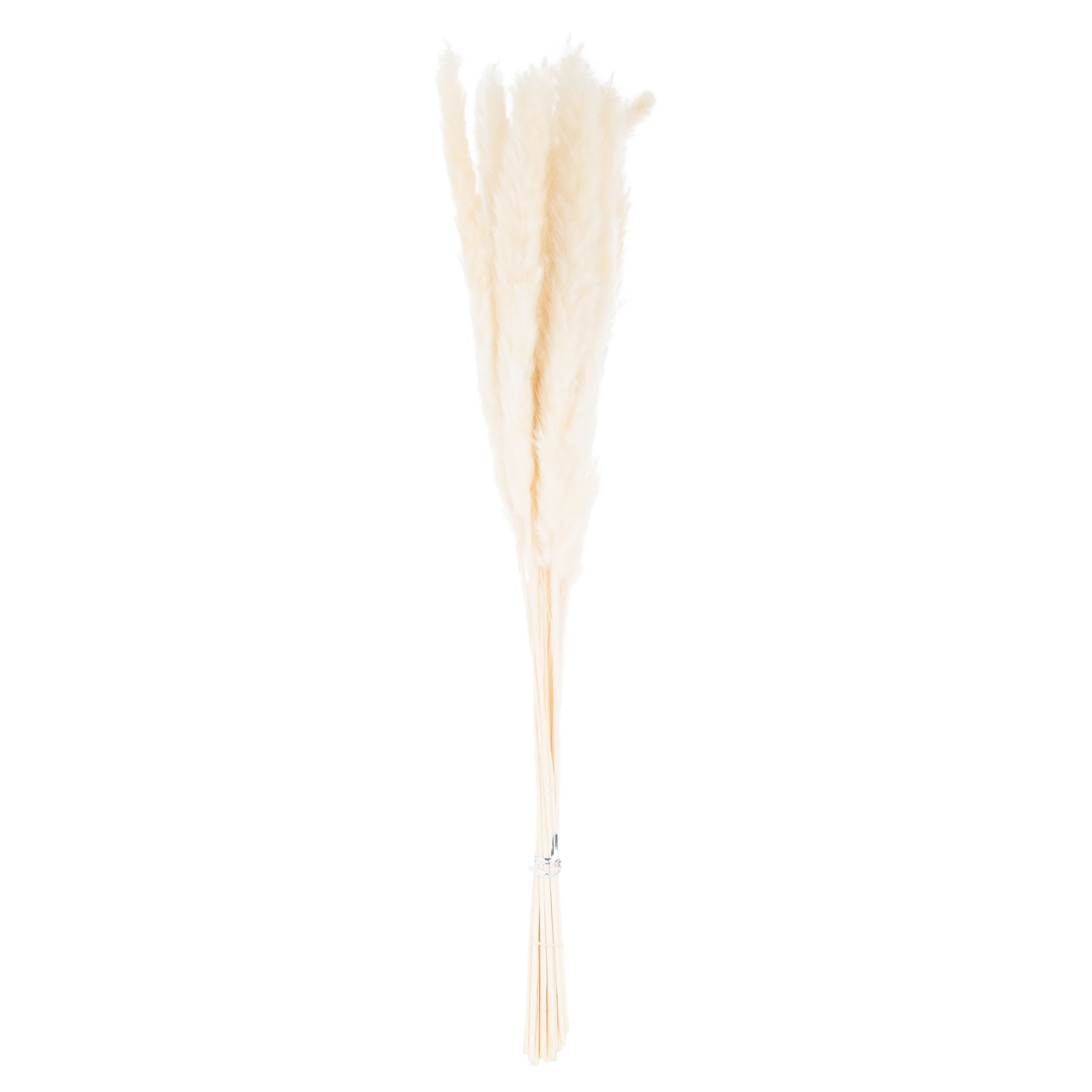 Mini White Pampas Grass Bunch Of 15 — Pack of 5 - Artificial plants & flowers, photo 2 of 3