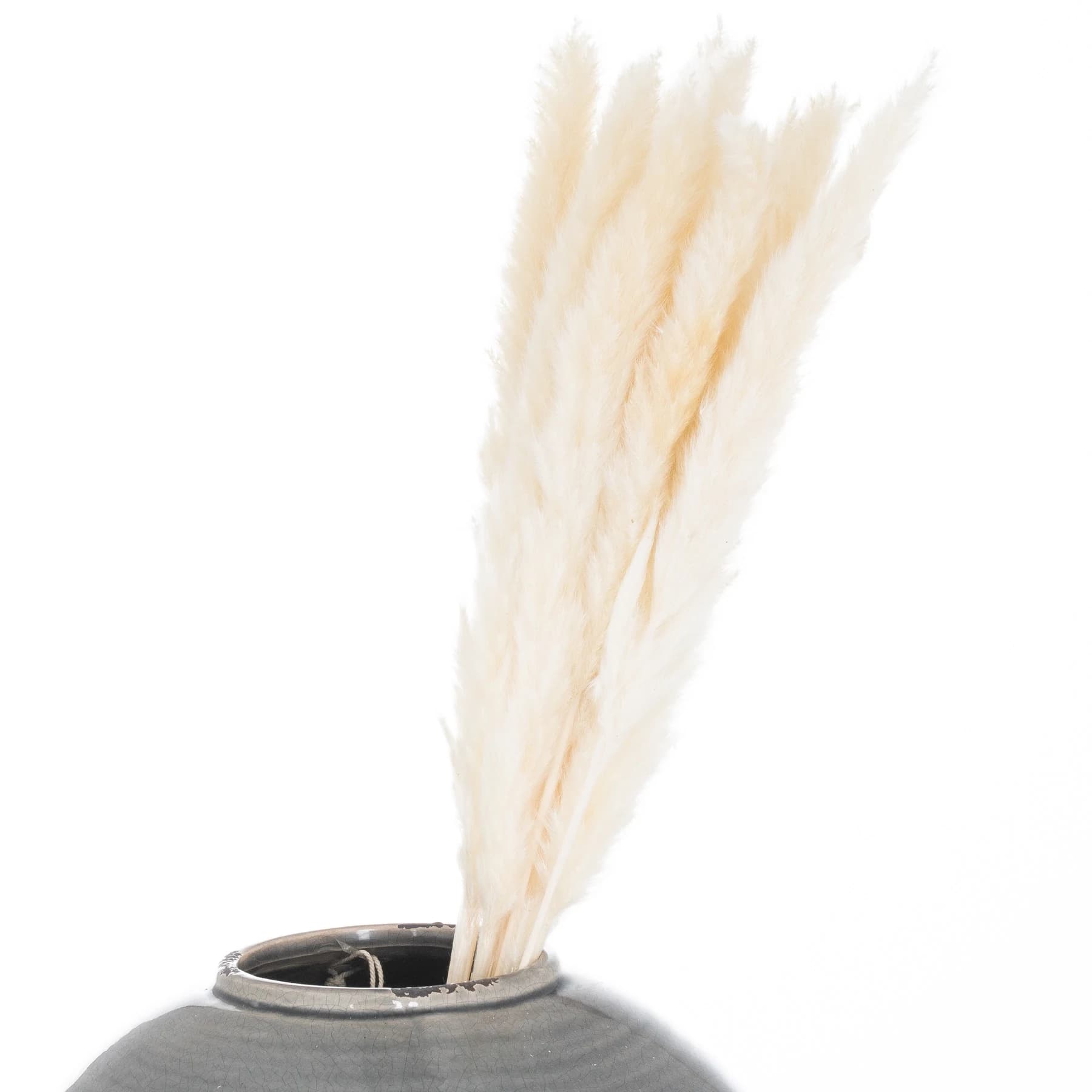 Mini White Pampas Grass Bunch Of 15 — Pack of 5 - Artificial plants & flowers, photo 3 of 3