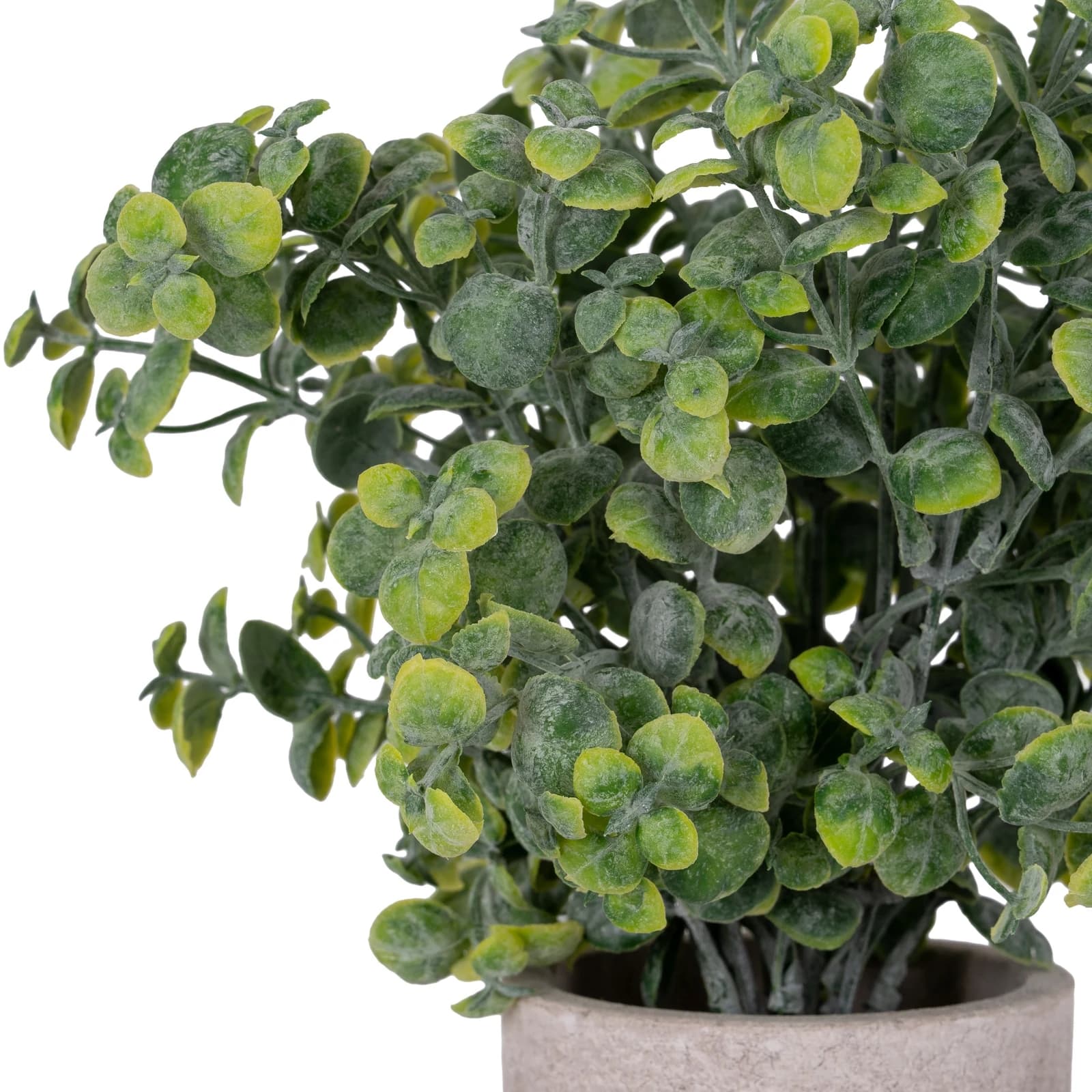 Eucalyptus Plant In Stone Effect Pot - Artificial plants & flowers, photo 2 of 4