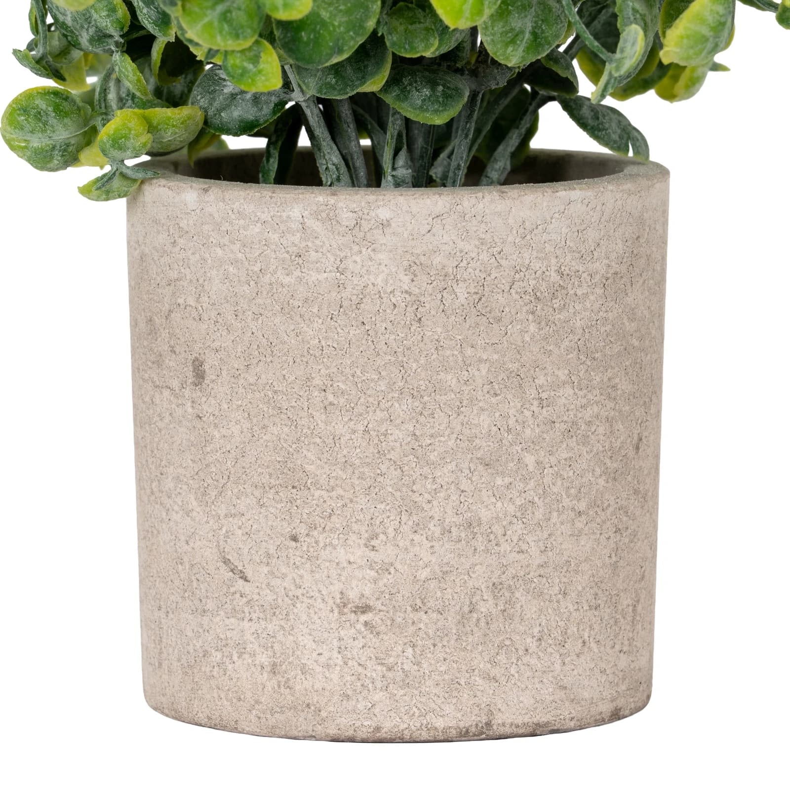 Eucalyptus Plant In Stone Effect Pot - Artificial plants & flowers, photo 3 of 4