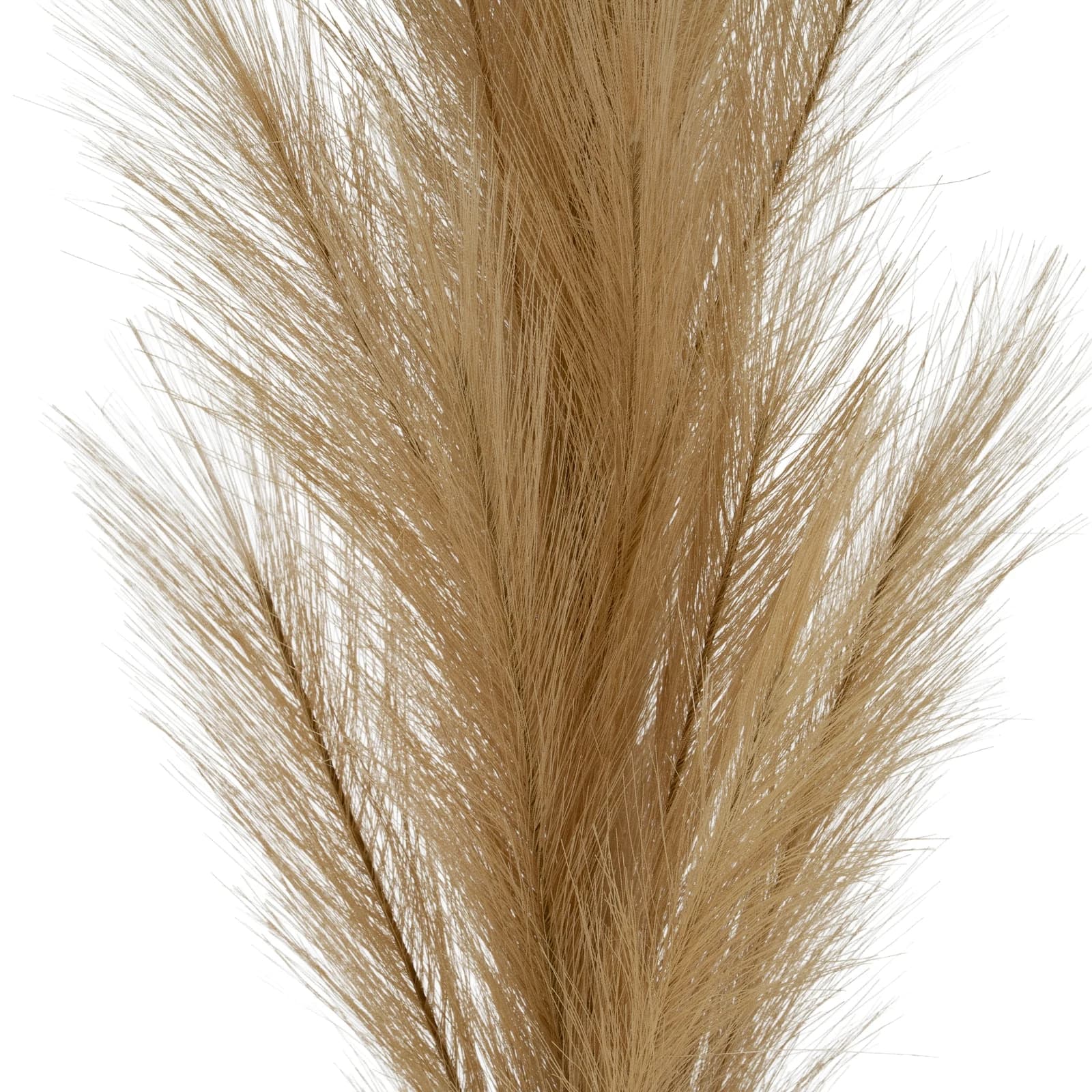 Large Faux Pampas Grass Stem — Pack of 5 - Artificial plants & flowers, photo 2 of 3