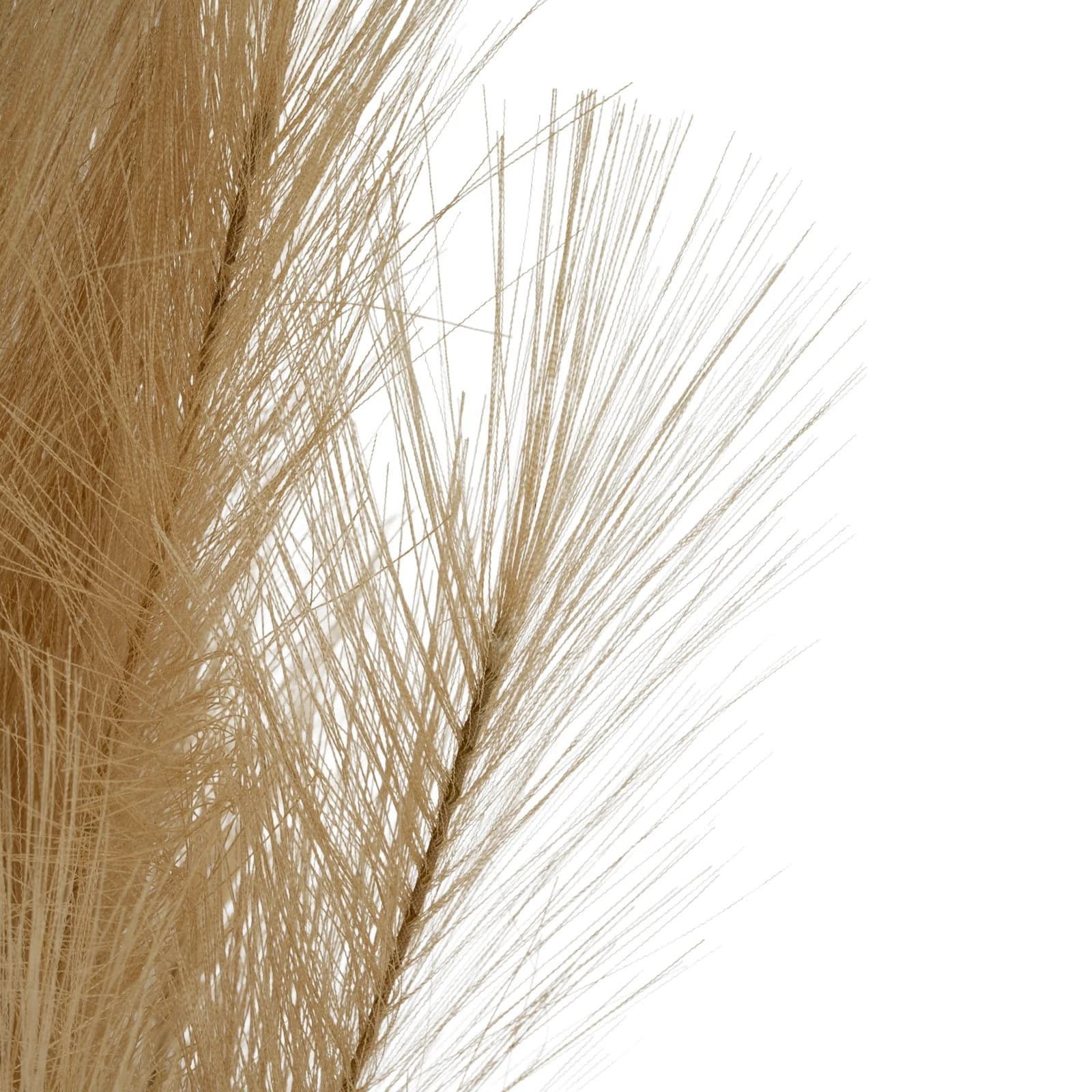 Large Faux Pampas Grass Stem — Pack of 5 - Artificial plants & flowers, photo 3 of 3