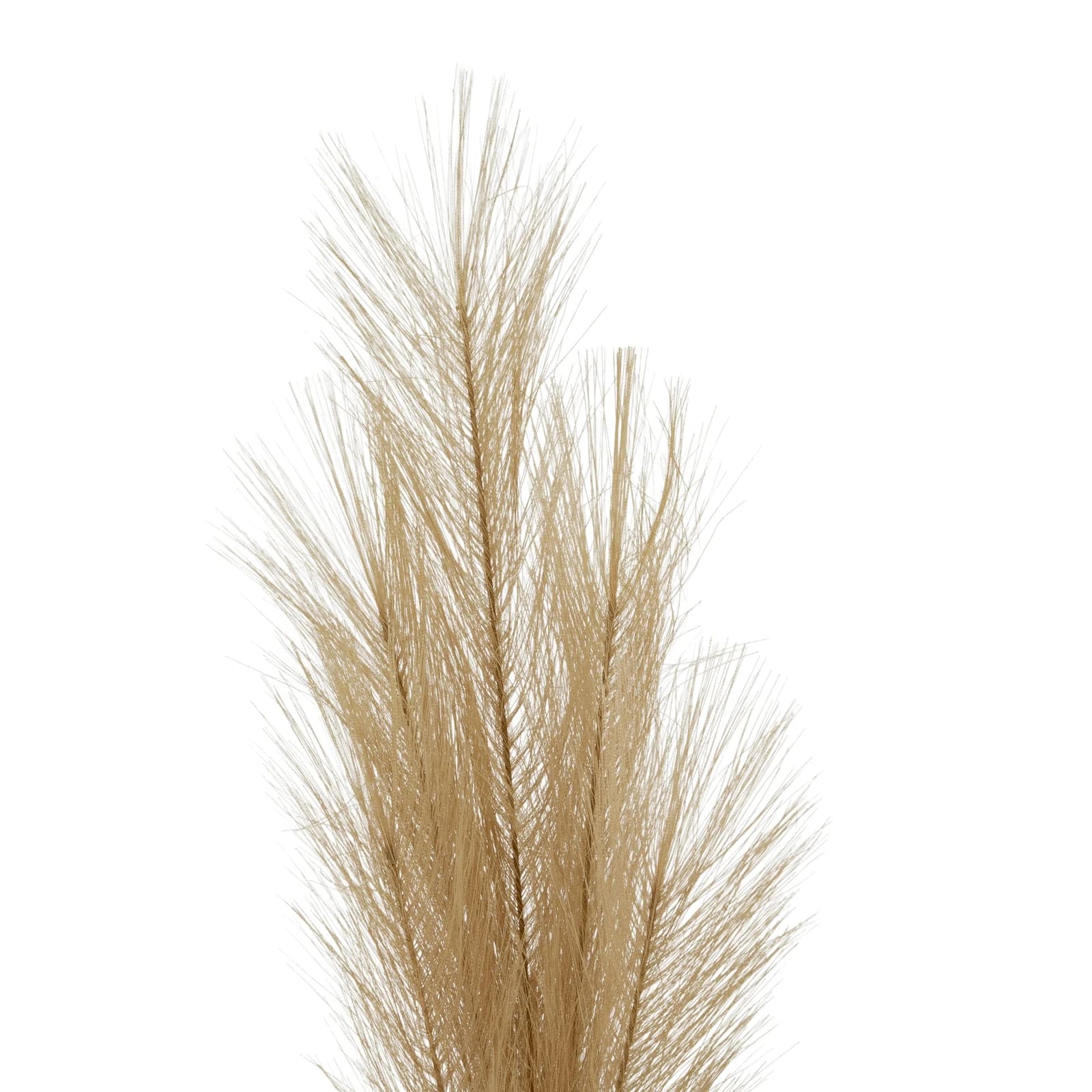 Faux Pampas Grass Stem — Pack of 5 - Artificial plants & flowers, photo 2 of 3