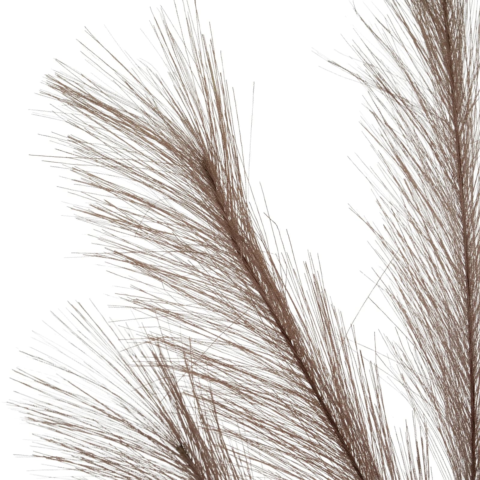 Grey Large Faux Pampas Grass Stem — Pack of 5 - Artificial plants & flowers, photo 4 of 4