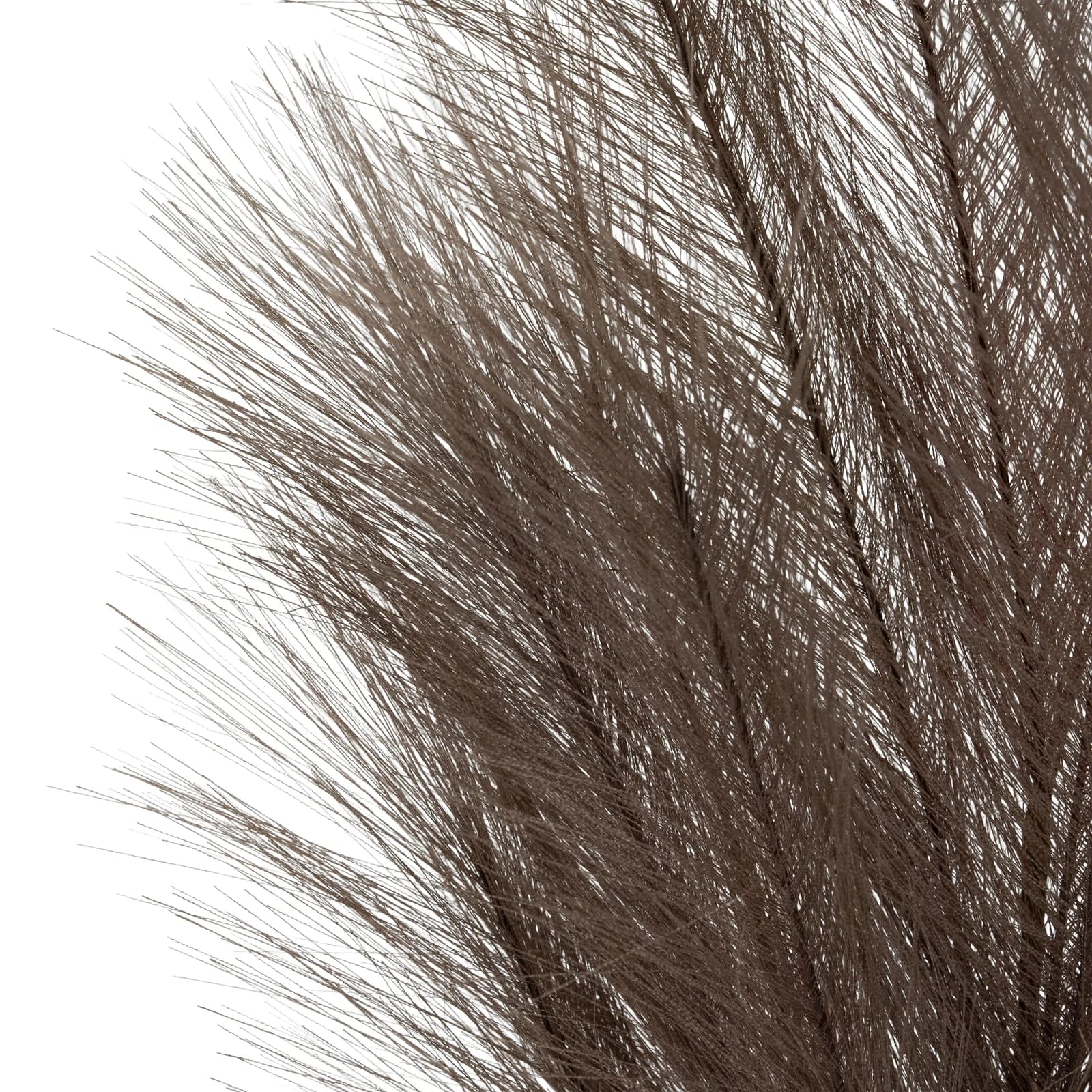 Grey Faux Pampas Grass Stem — Pack of 5 - Artificial plants & flowers, photo 3 of 4