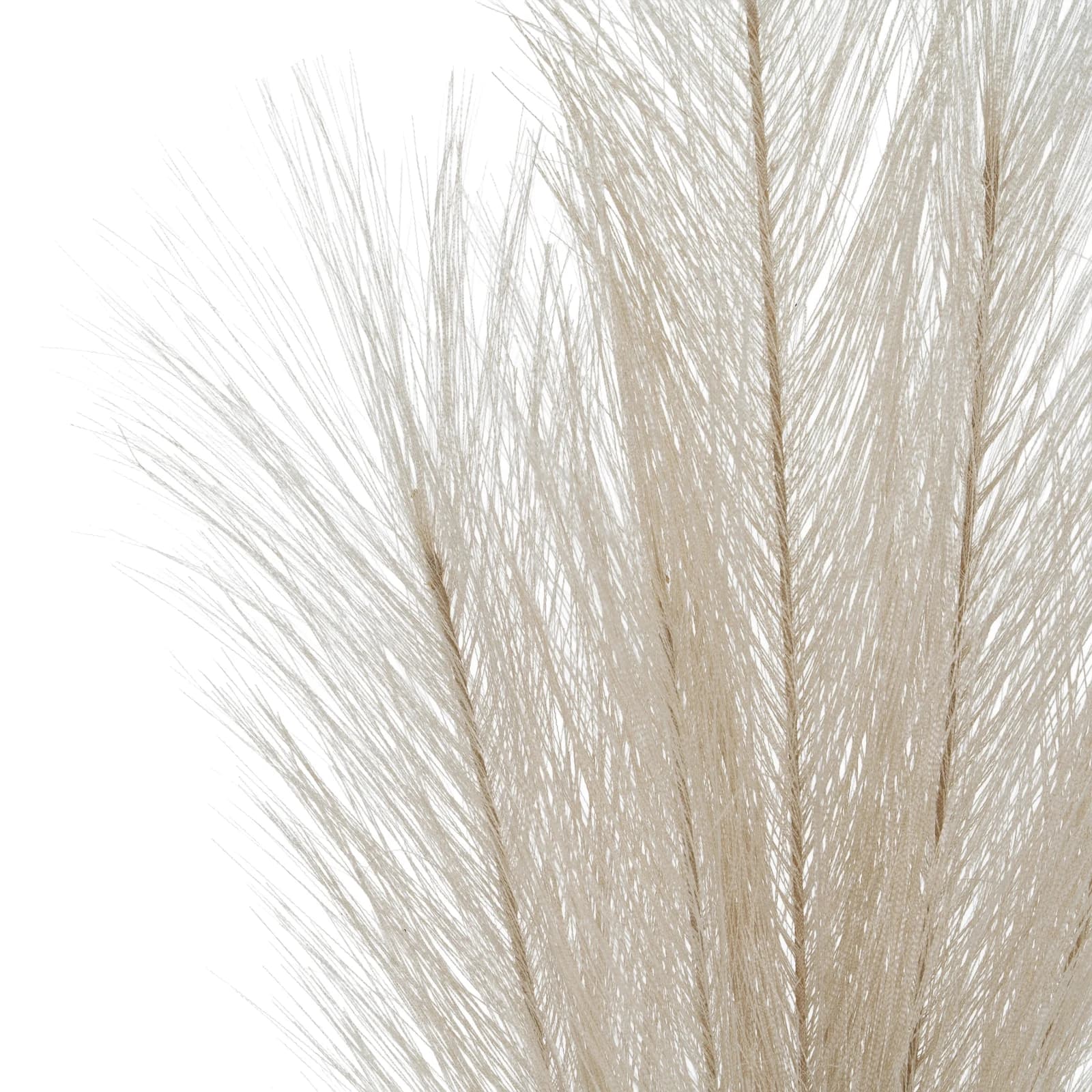 Bleached Large Faux Pampas Grass Stem — Pack of 5 - Artificial plants & flowers, photo 2 of 3