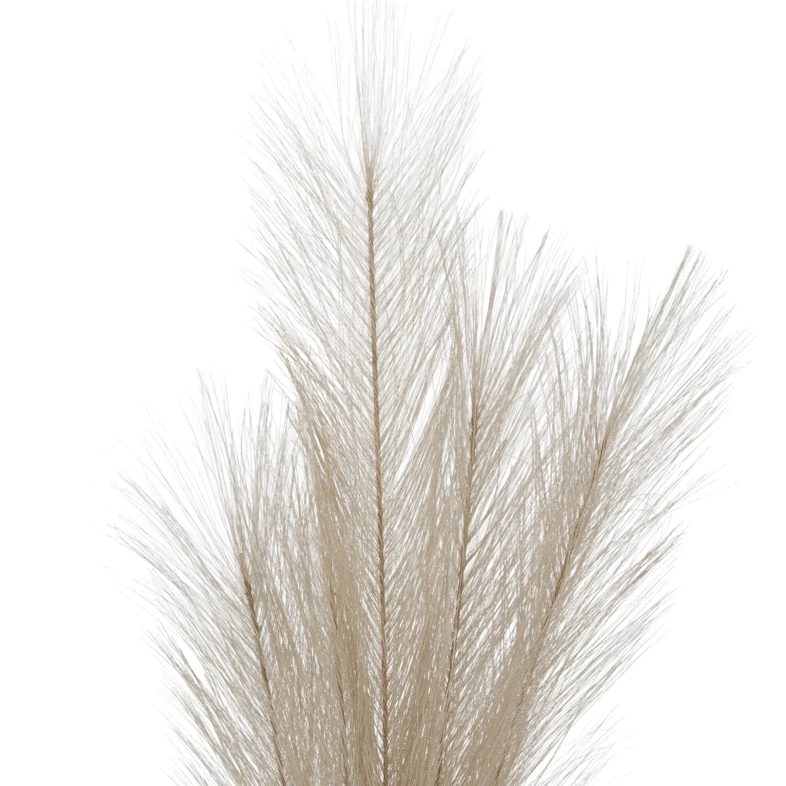 Bleached Large Faux Pampas Grass Stem — Pack of 5 - Artificial plants & flowers, photo 3 of 3