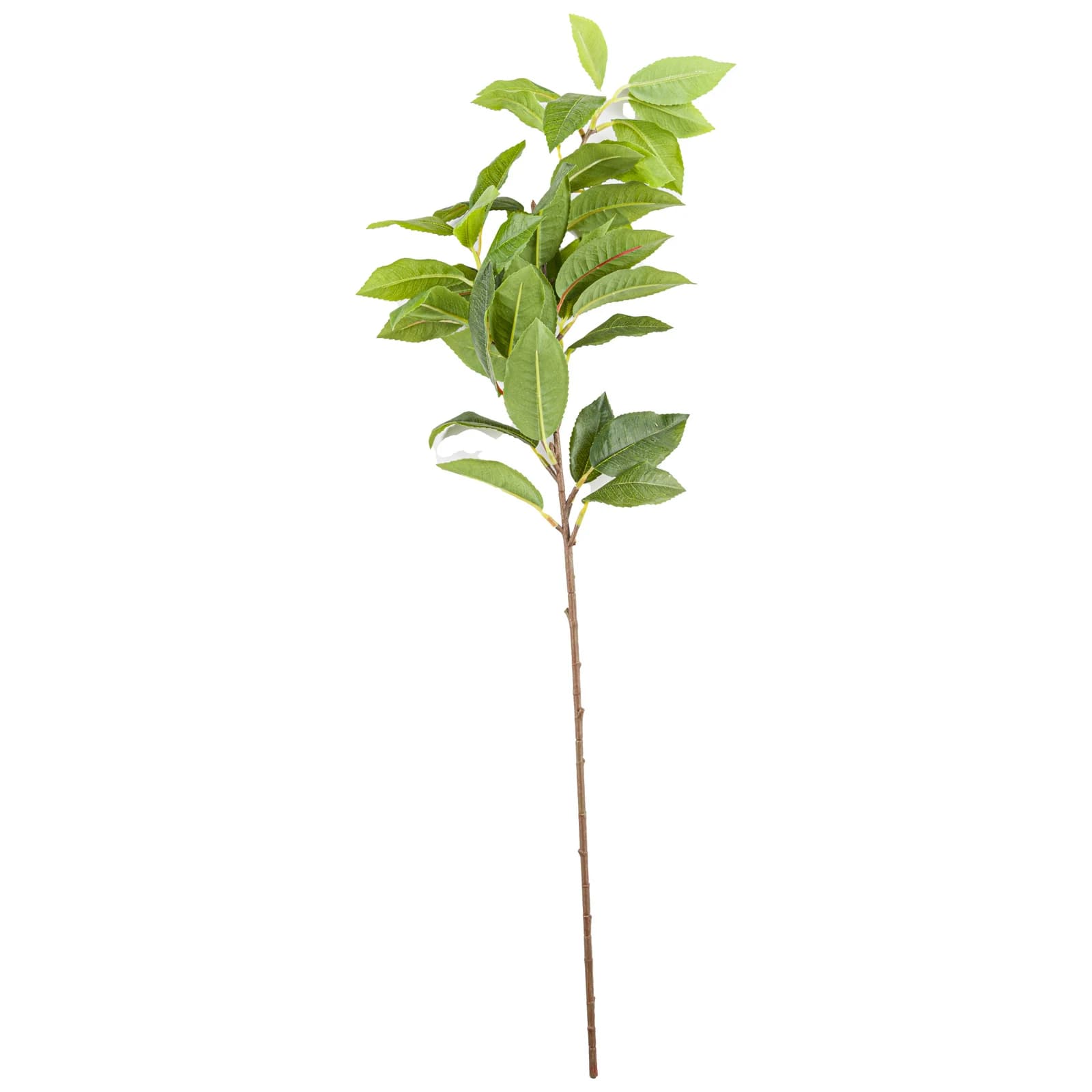 Laurel Leaf Spray — Pack of 5 - Artificial plants & flowers, photo 2 of 2