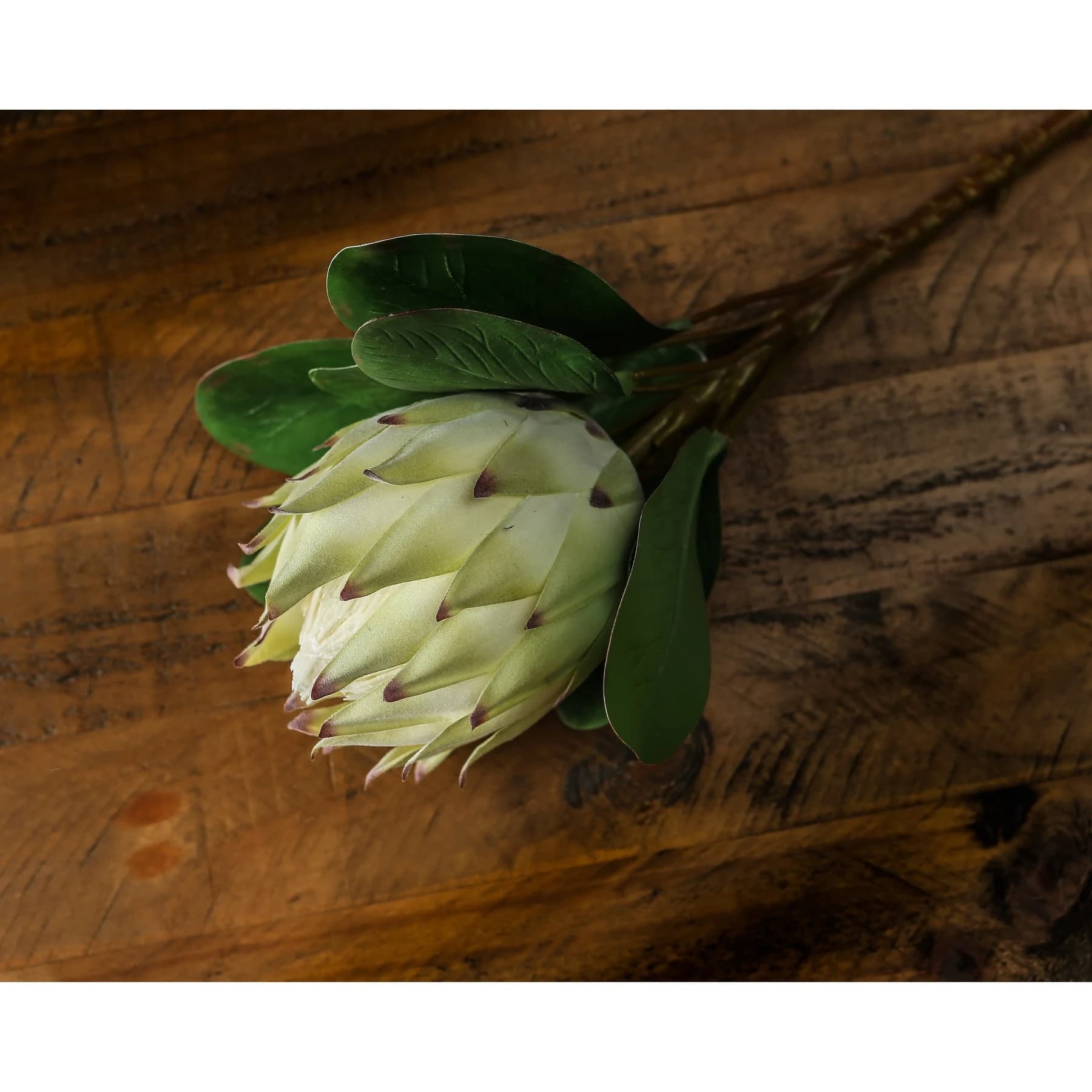 Large White Protea — Pack of 3 - Artificial plants & flowers, photo 3 of 4
