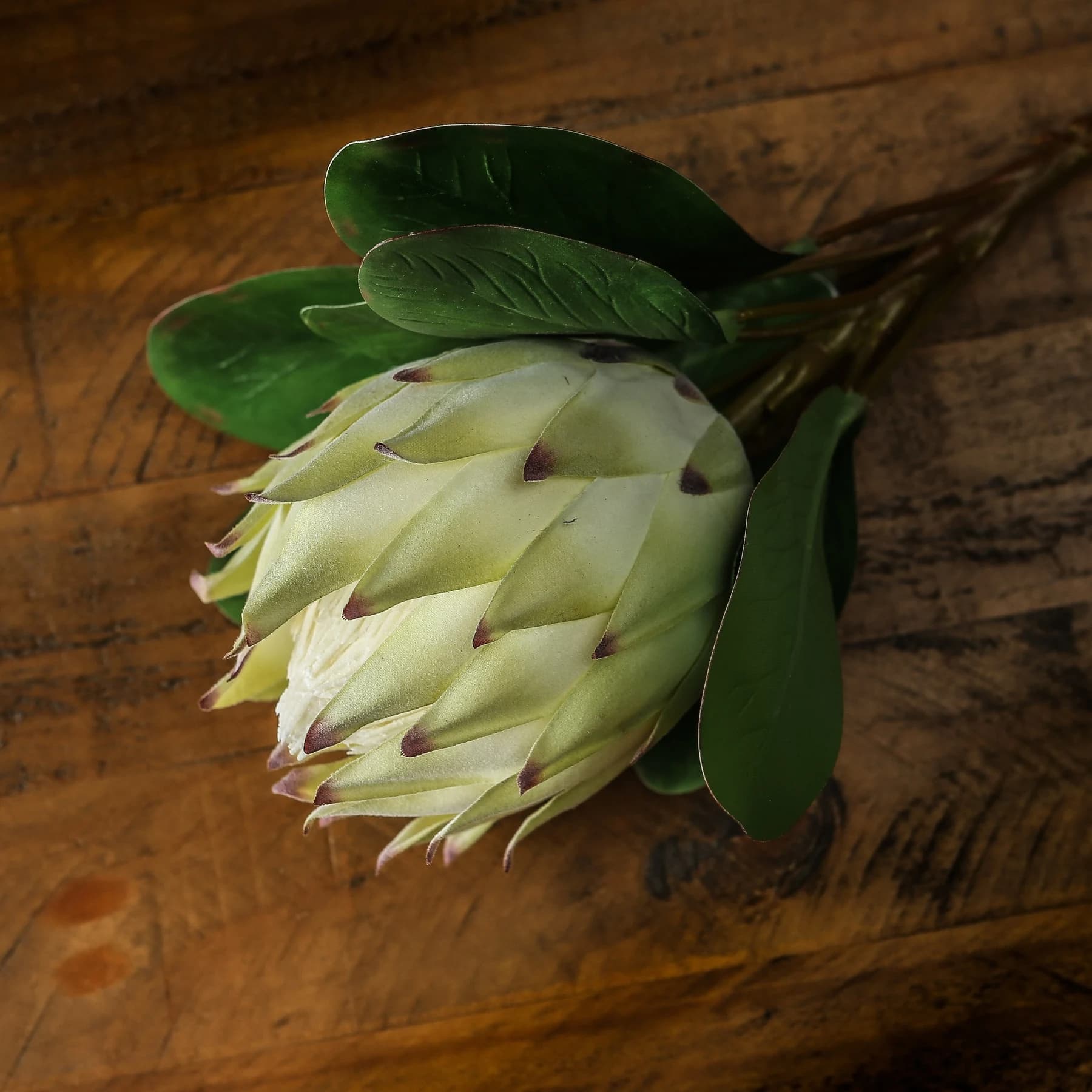 Large White Protea — Pack of 3 - Artificial plants & flowers, photo 4 of 4