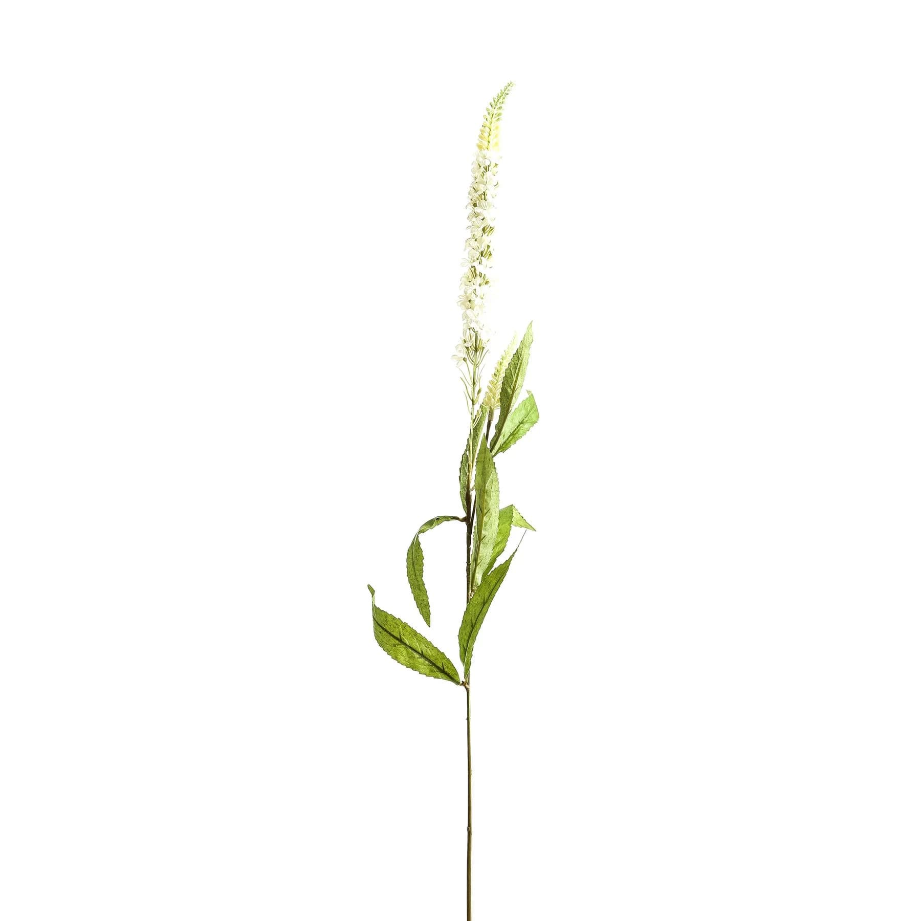 White Veronica Stem — Pack of 5 - Artificial plants & flowers, photo 2 of 3