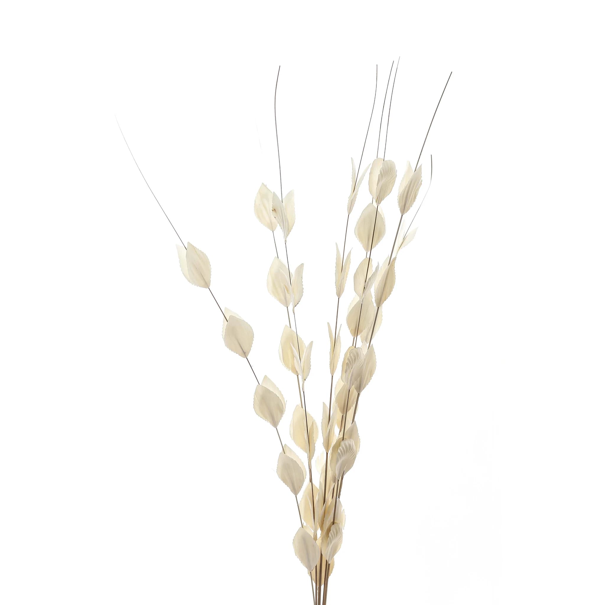 Bouquet Of Dried Thlaspi Arvense - Artificial plants & flowers, photo 2 of 4