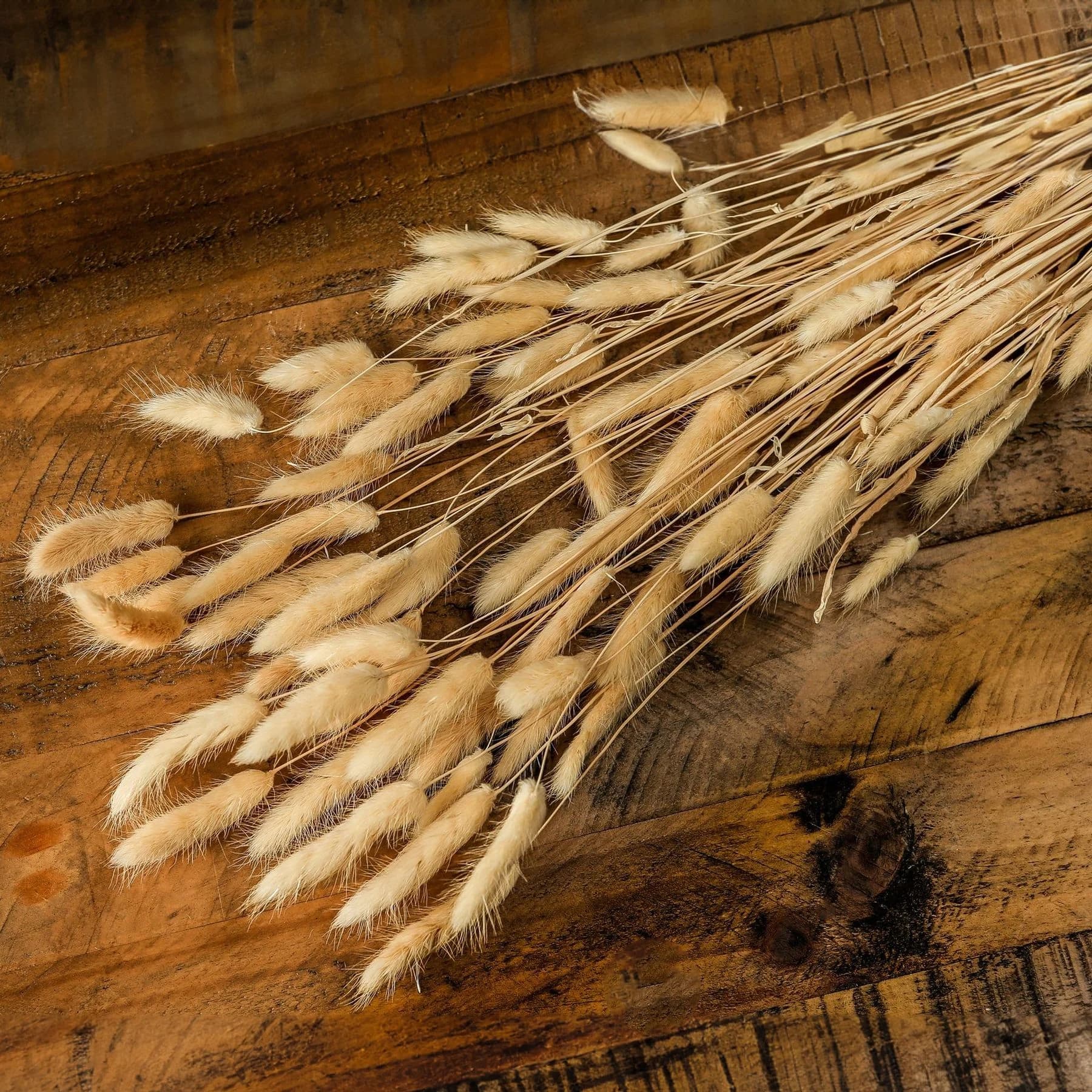 Bouquet Of Tall Bunny Tails - Vases, photo 3 of 4
