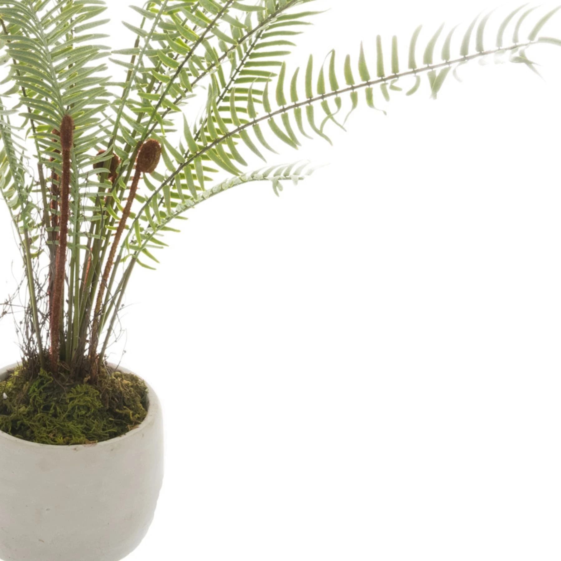White Potted Boston Fern — Pack of 3 - Artificial plants & flowers, photo 3 of 4