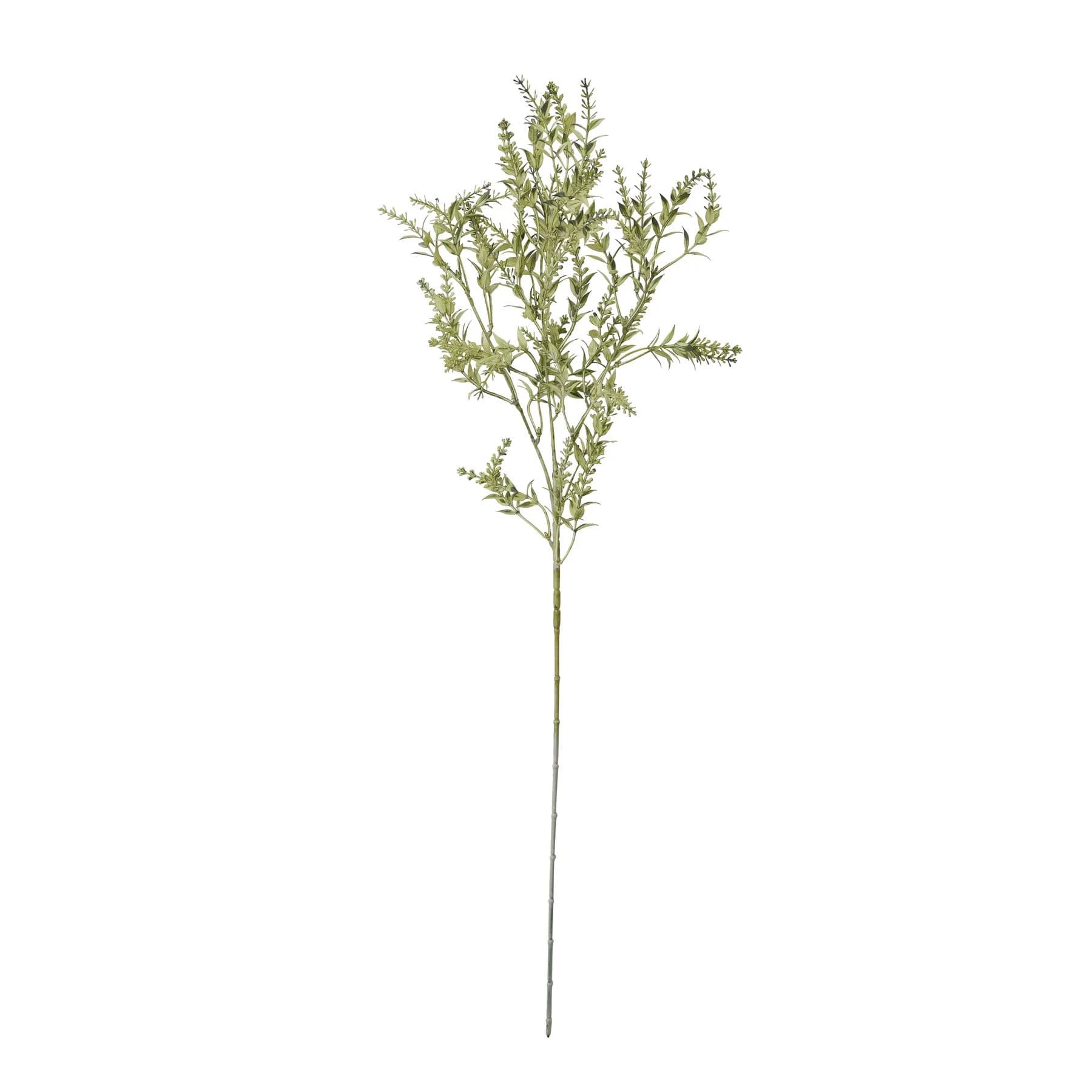 Broom Stem — Pack of 5 - Artificial plants & flowers, photo 4 of 5