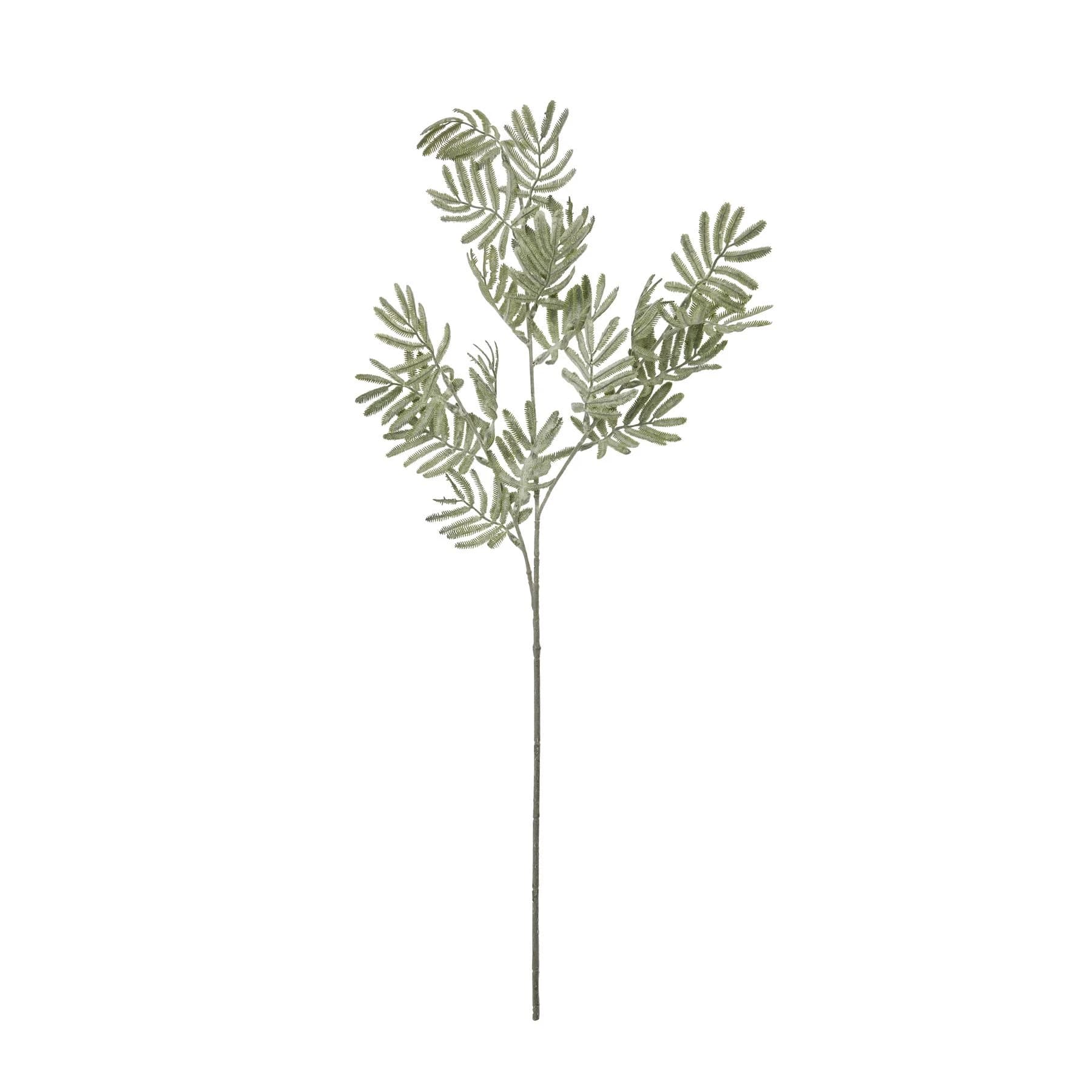 Silver Wattle Leaf — Pack of 5 - Artificial plants & flowers, photo 4 of 5