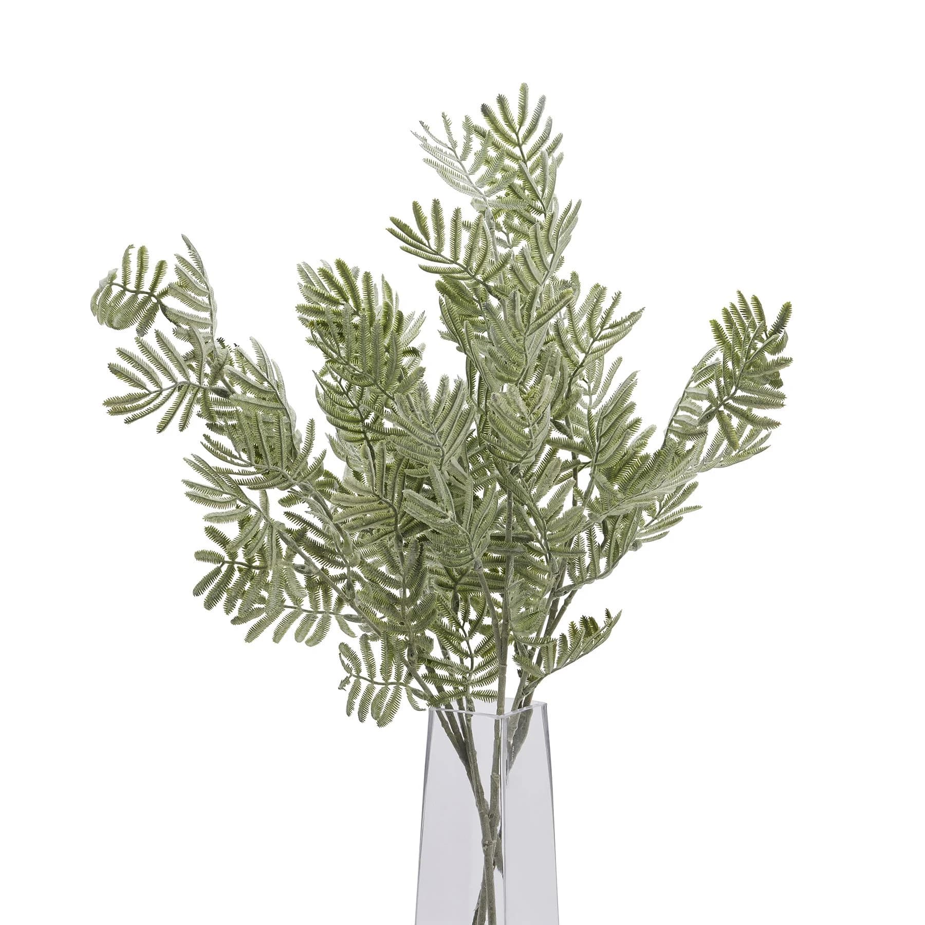Silver Wattle Leaf — Pack of 5 - Artificial plants & flowers, photo 5 of 5