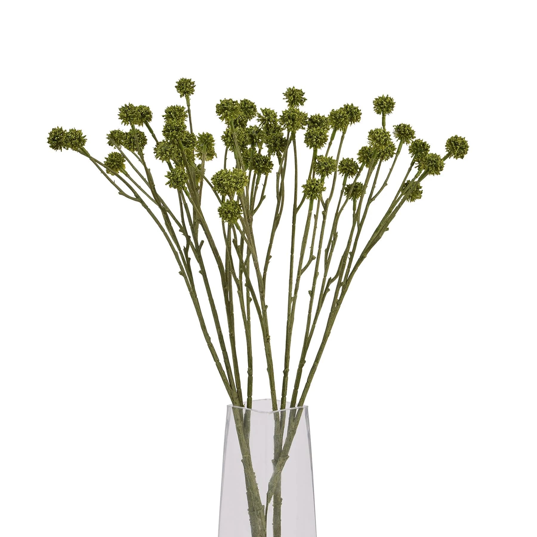 Green Craspedia Stem — Pack of 5 - Artificial plants & flowers, photo 5 of 5