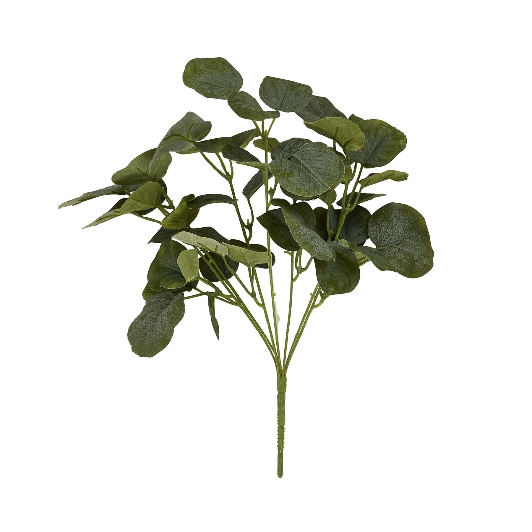 Short Eucalyptus Bunch — Pack of 5 - Artificial plants & flowers, photo 4 of 5