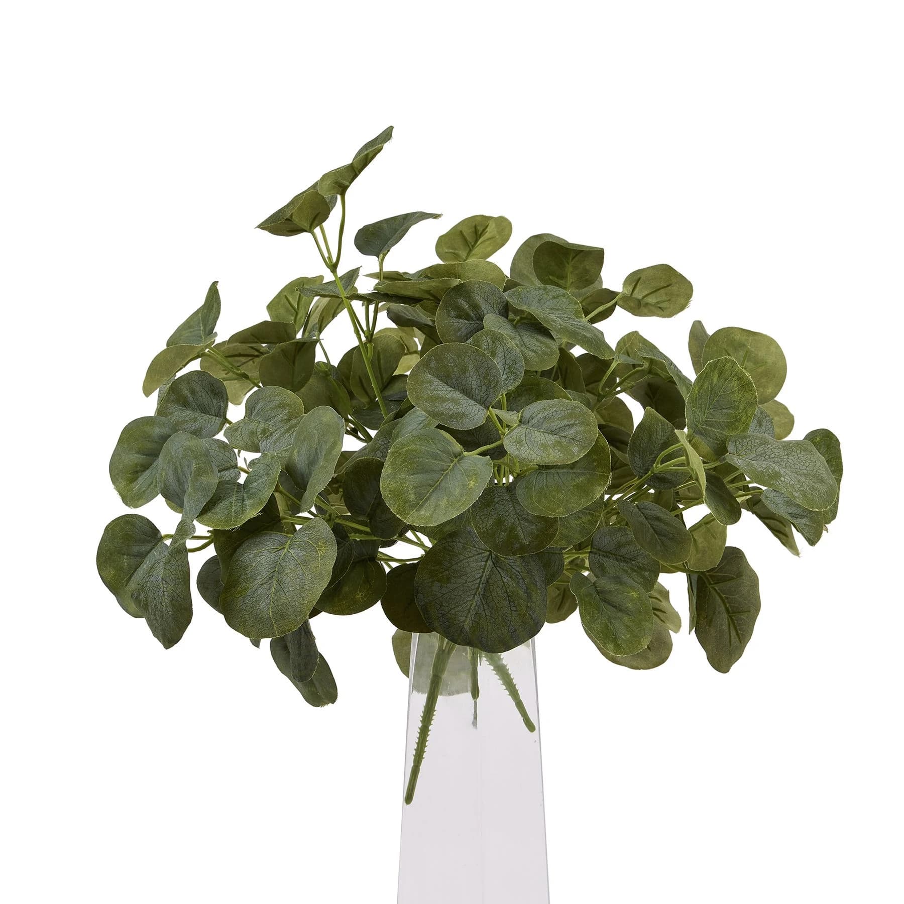 Short Eucalyptus Bunch — Pack of 5 - Artificial plants & flowers, photo 5 of 5