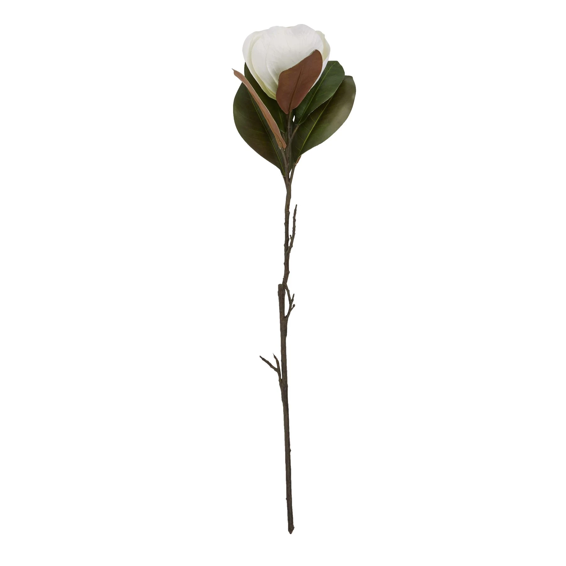 White Magnolia Stem — Pack of 5 - Artificial plants & flowers, photo 4 of 5