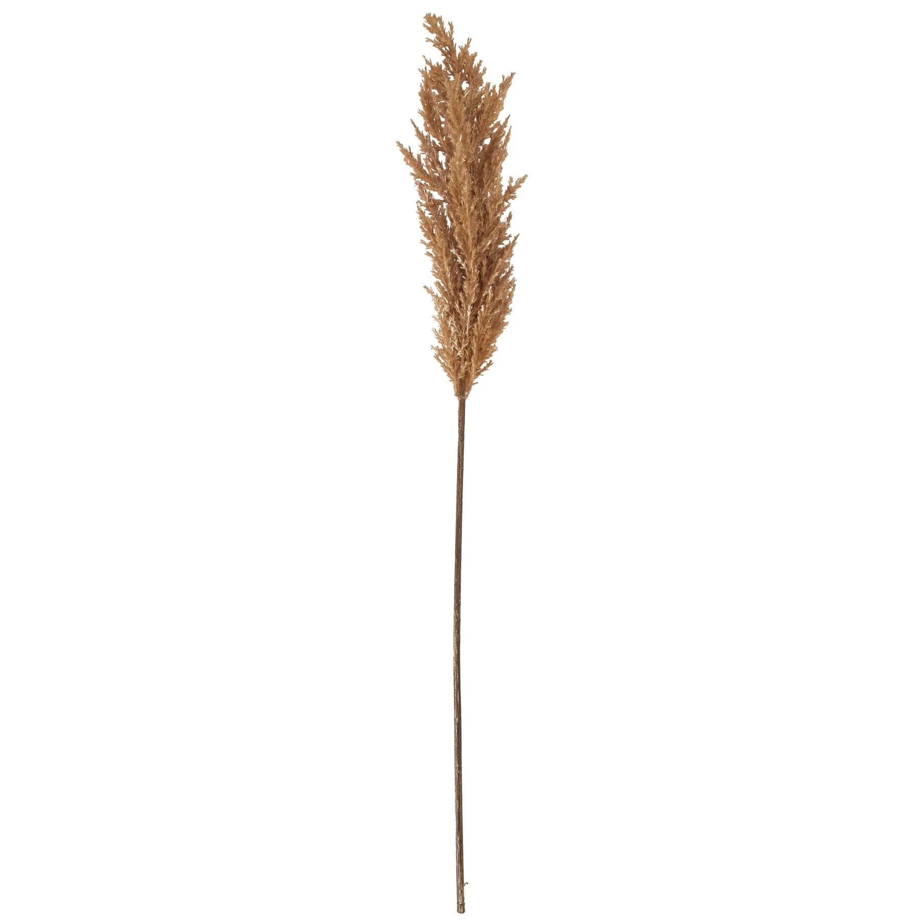 Taupe Faux Dried Pampas Grass Stem — Pack of 5 - Artificial plants & flowers, photo 3 of 4