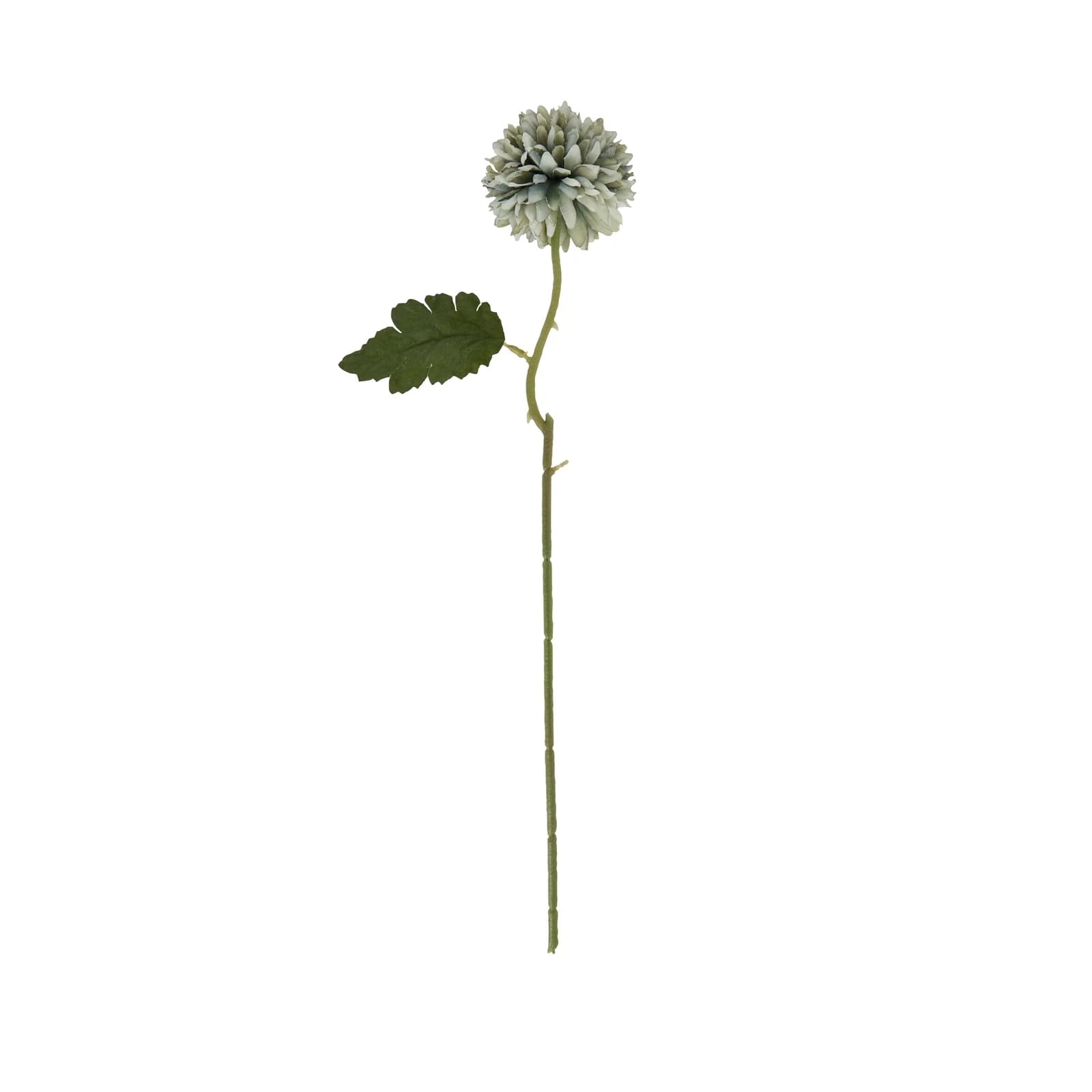 Pale Green Blue Short Chrysanthemum — Pack of 5 - Artificial plants & flowers, photo 3 of 5