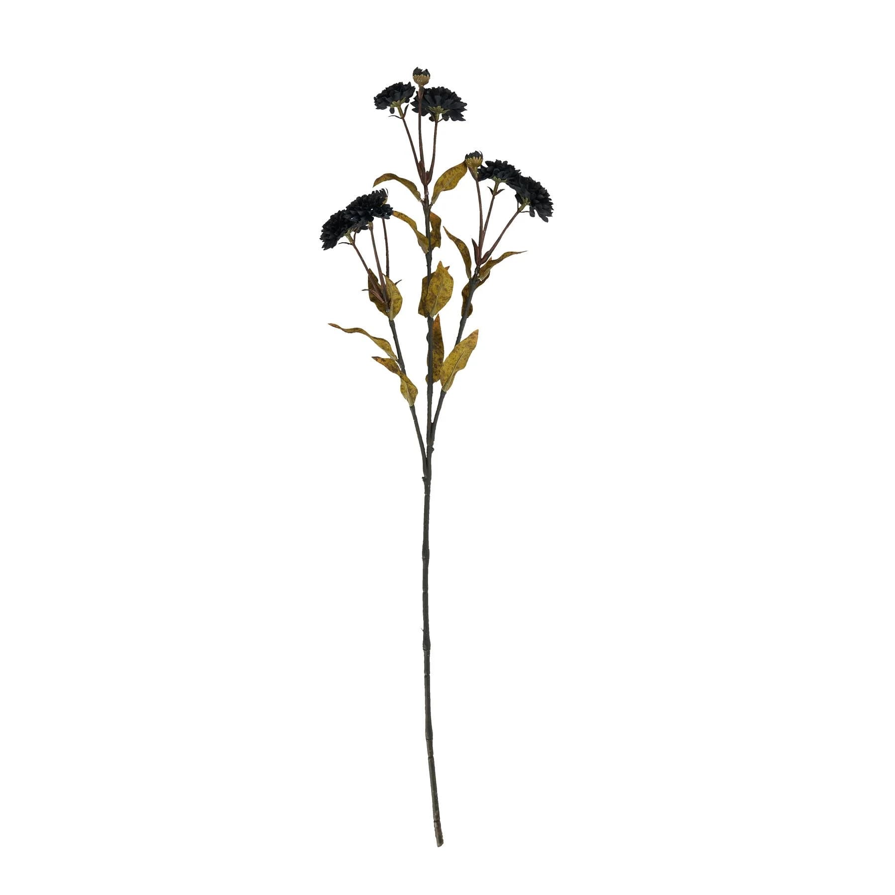 Black Chrysanthemum — Pack of 5 - Artificial plants & flowers, photo 3 of 4