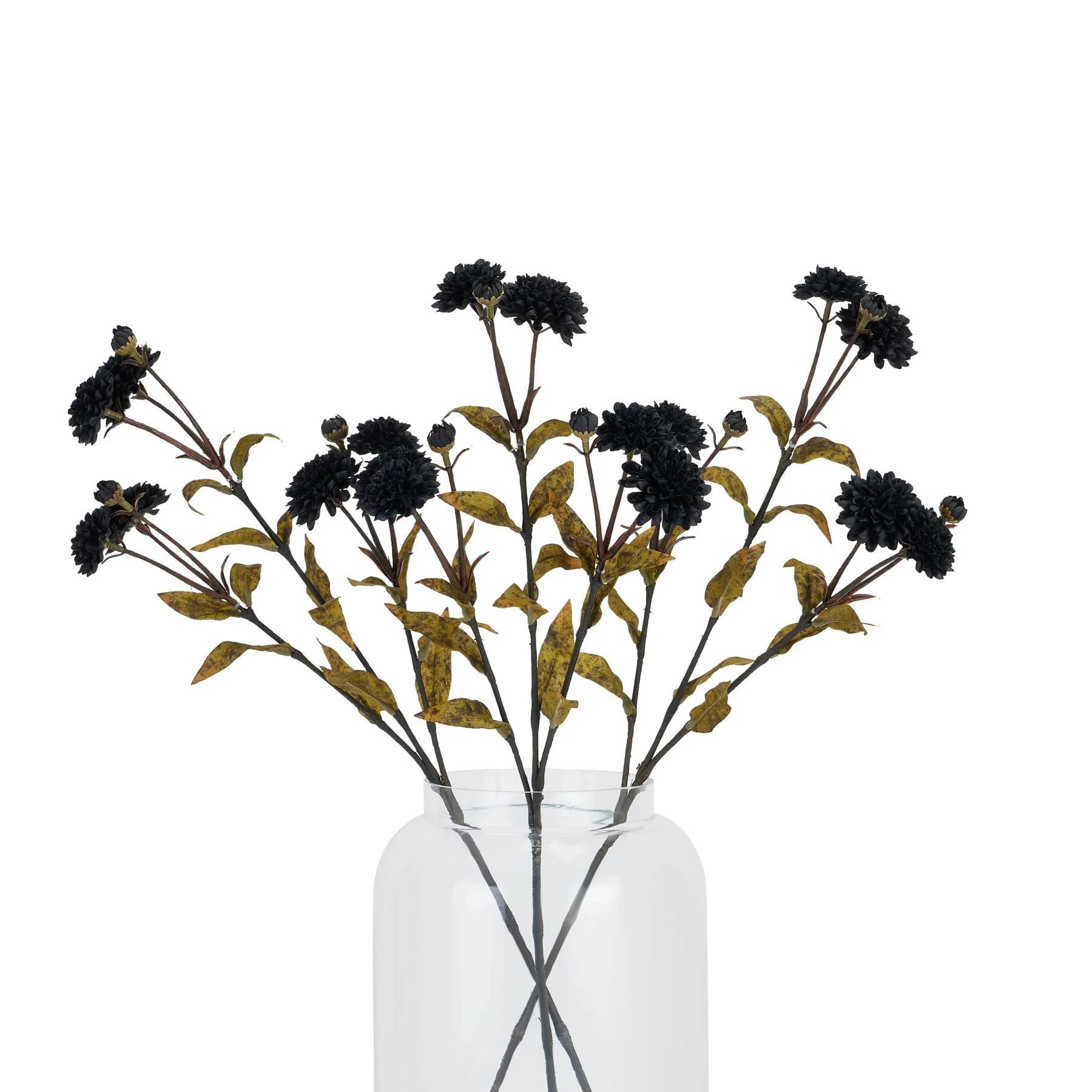 Black Chrysanthemum — Pack of 5 - Artificial plants & flowers, photo 4 of 4